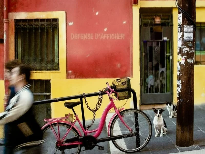 Ceci n'est pas un vélo rose