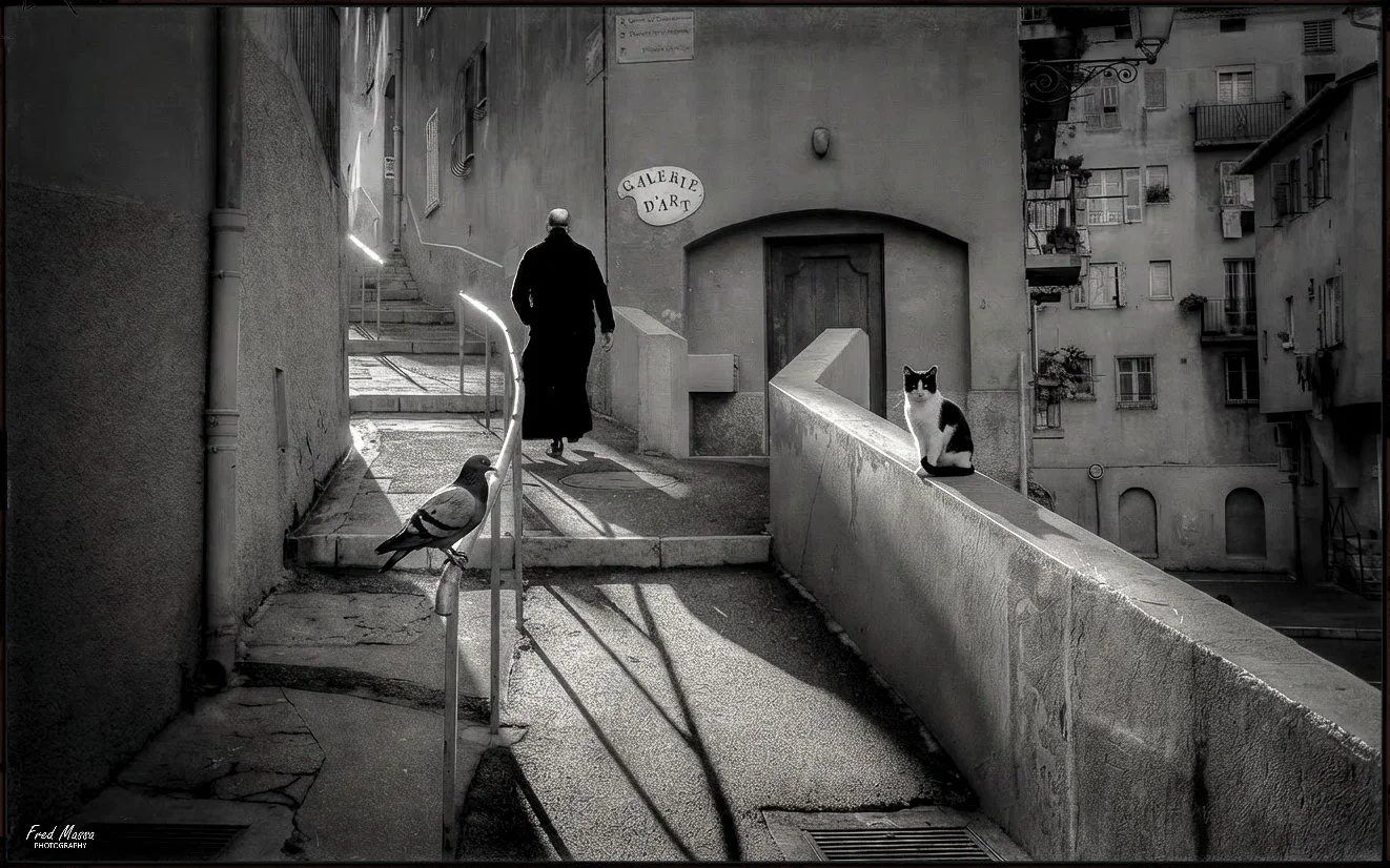 le curé le pigeon et le chat.jpg