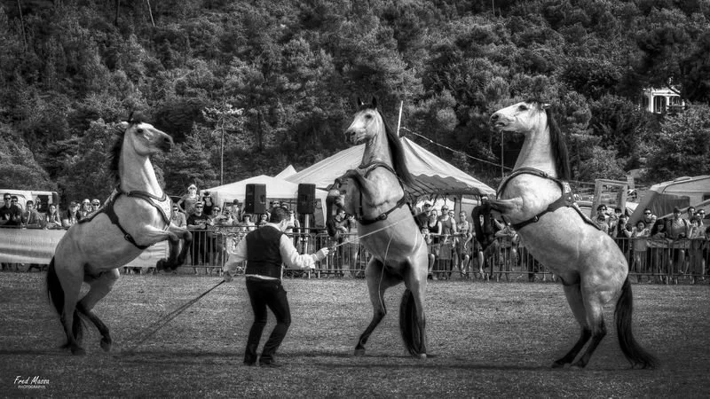  portrait 3  pour about-3-1.jpg