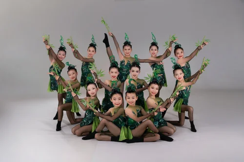 Eva Dance Academy, business photo 1