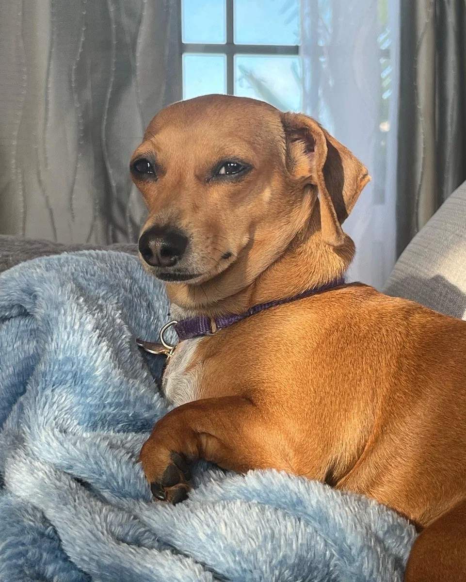Roo.jpg