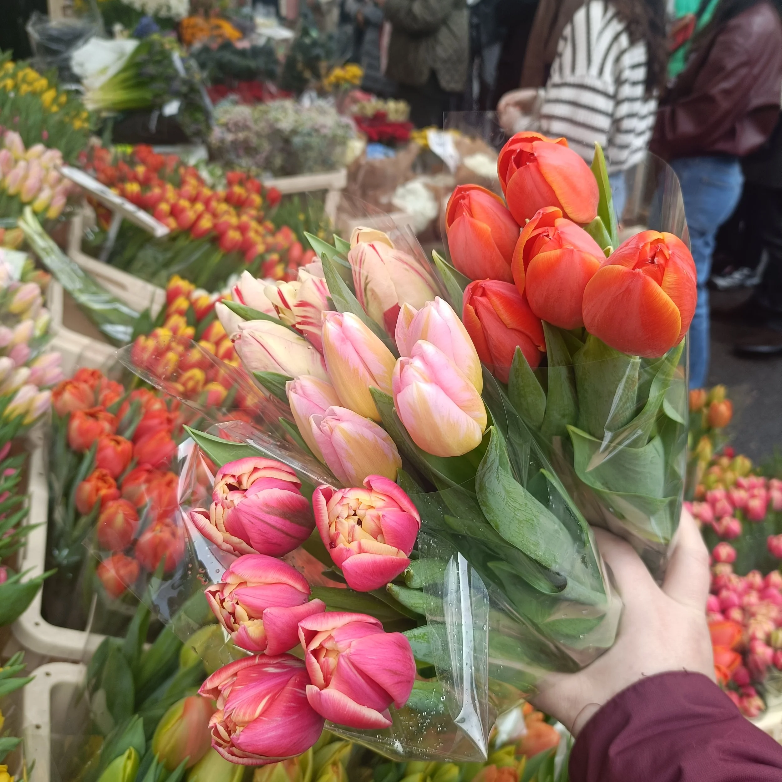 1000068611.jpg (Copy)