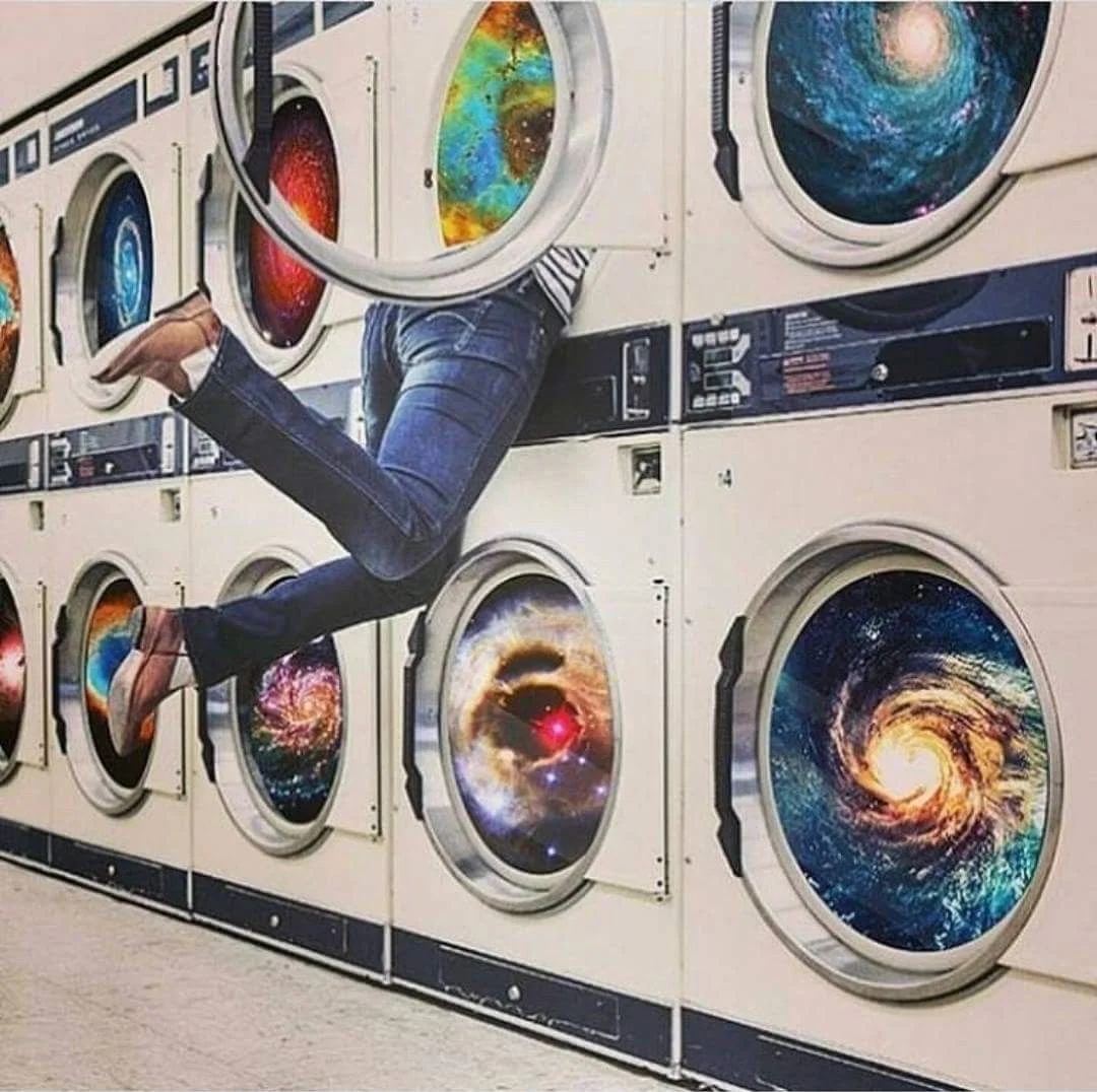 The System and the Self