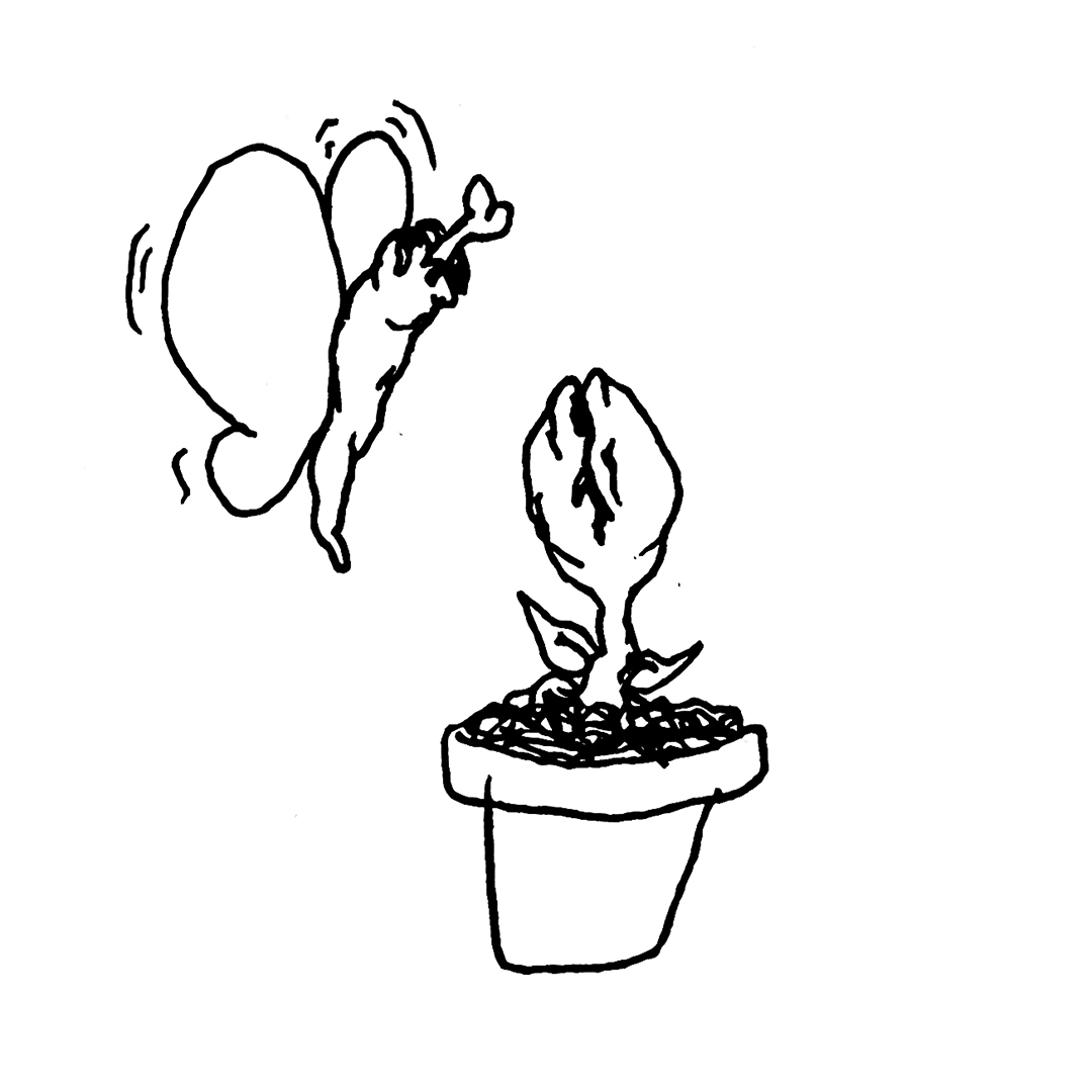 IMG_0213.png
