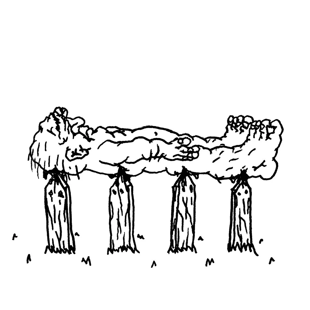 IMG_6592 copy.jpg