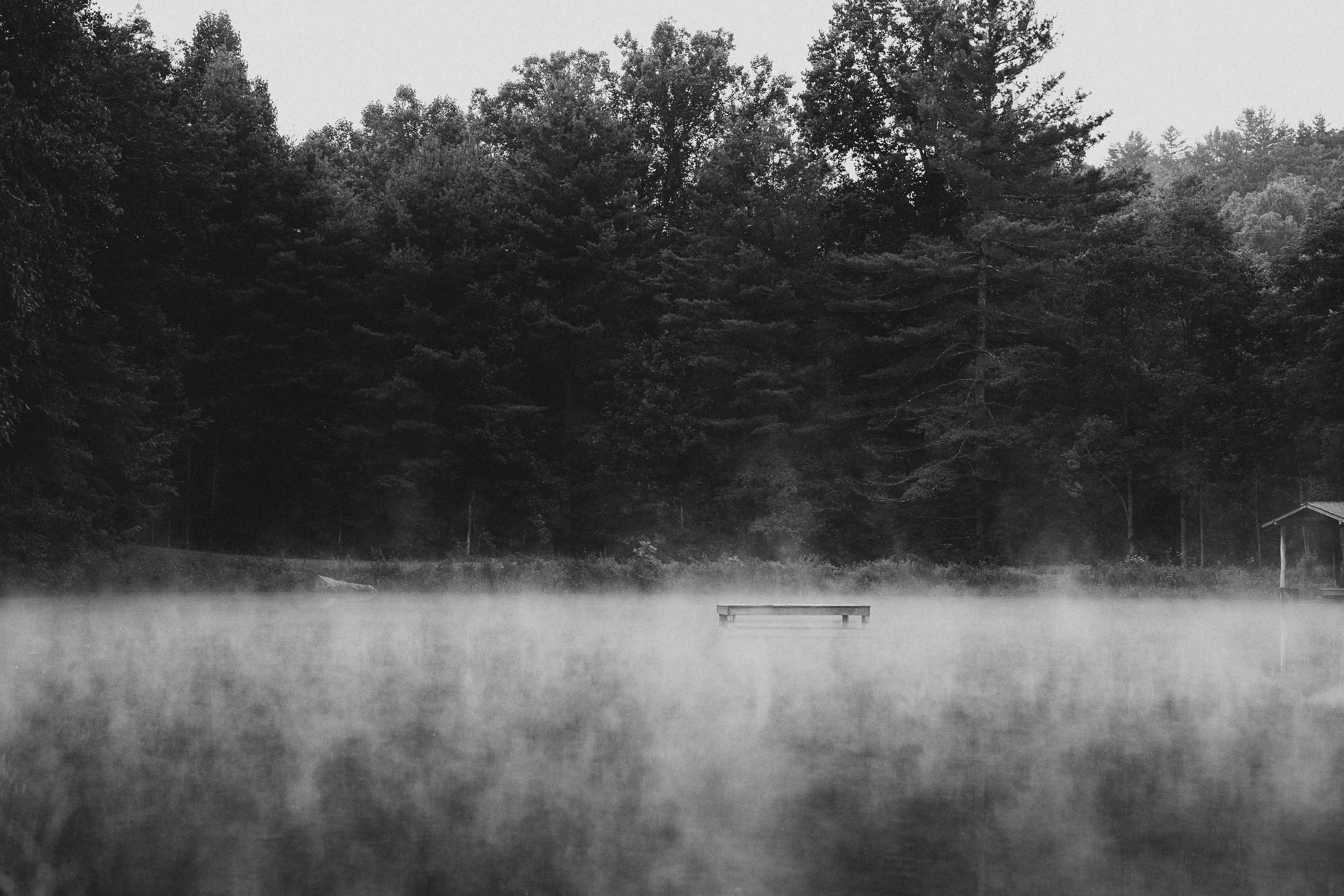 Lake with mist and trees in the background, featuring a small dock.