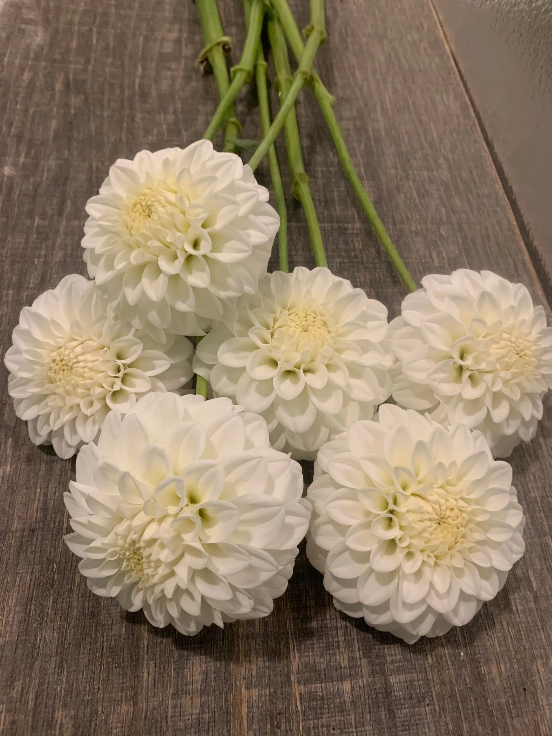 7EE2796F-A947-4A11-827D-1851A9F260B2