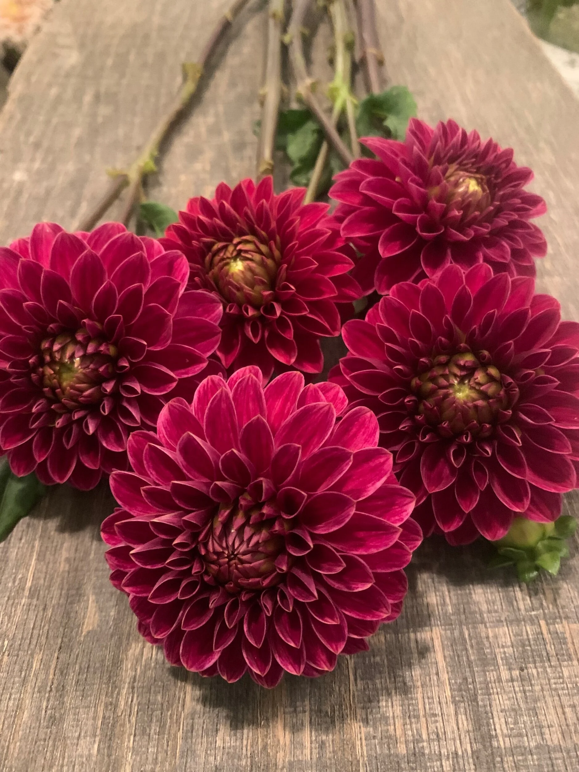 DD646F67-D55D-441F-92B6-530E362C53C2