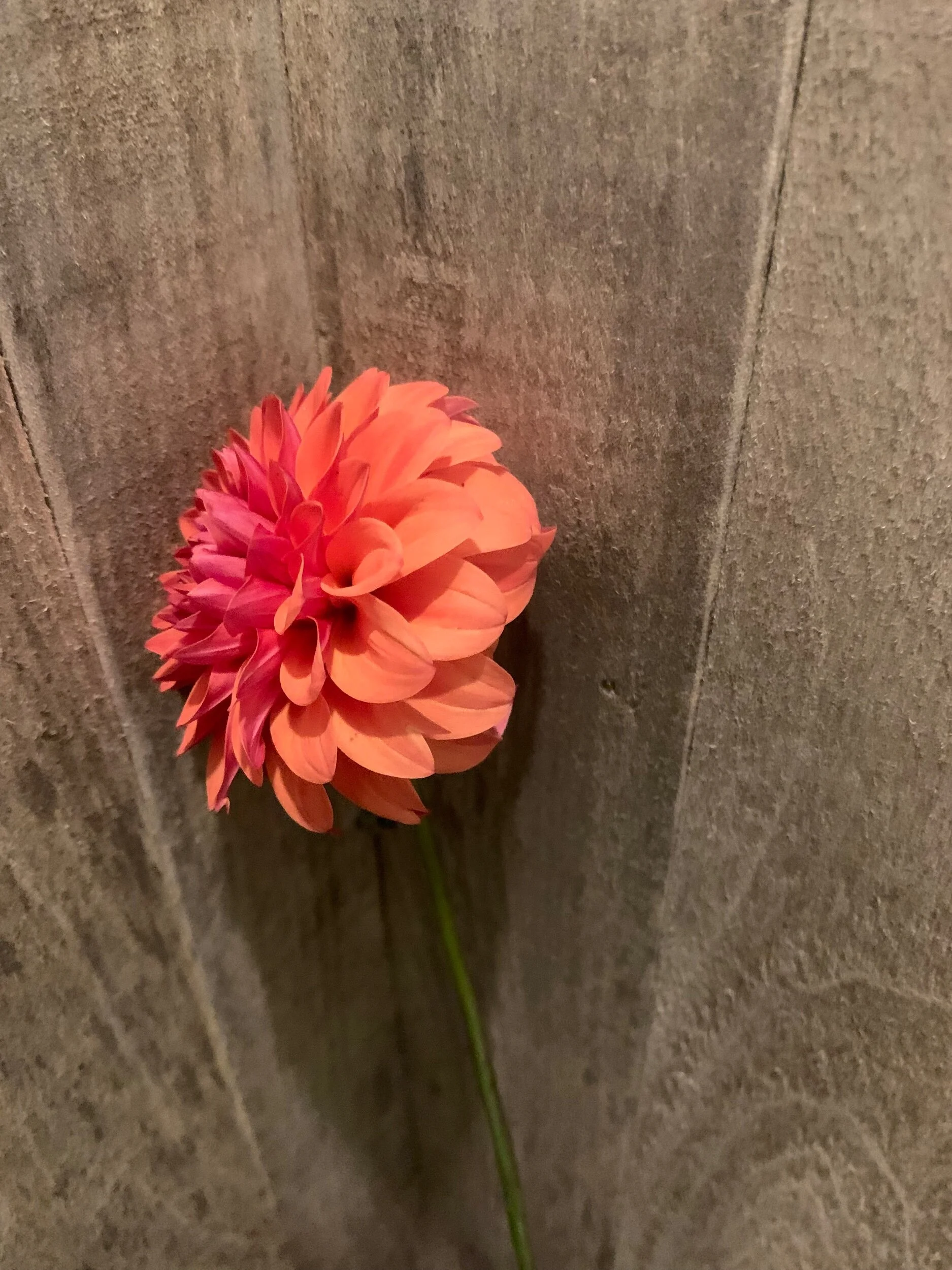 EF71B5D1-939C-4D1F-BF86-984611A48A06