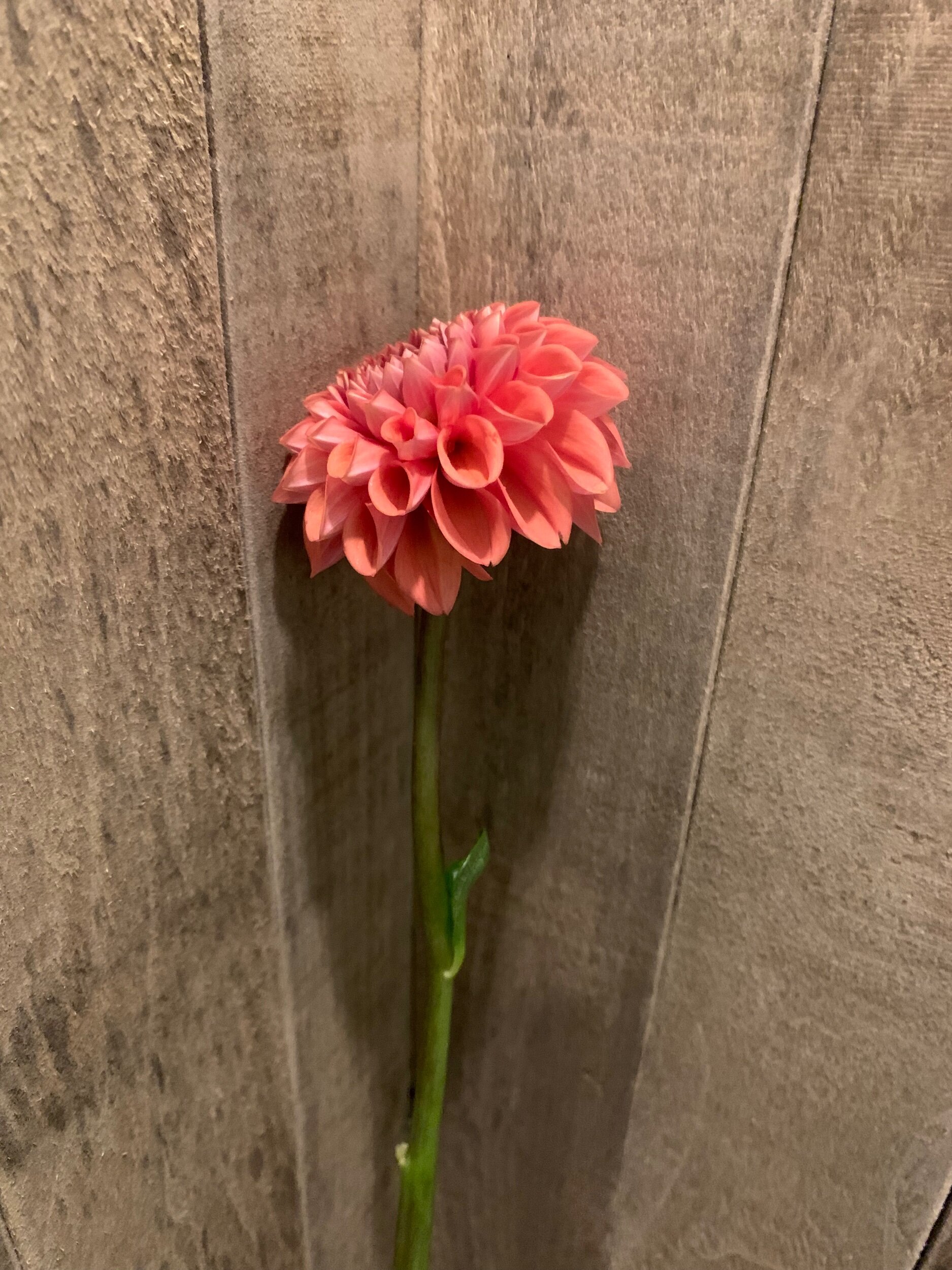 95E5ADFC-17EA-4150-BF58-E5397DE7BDDC