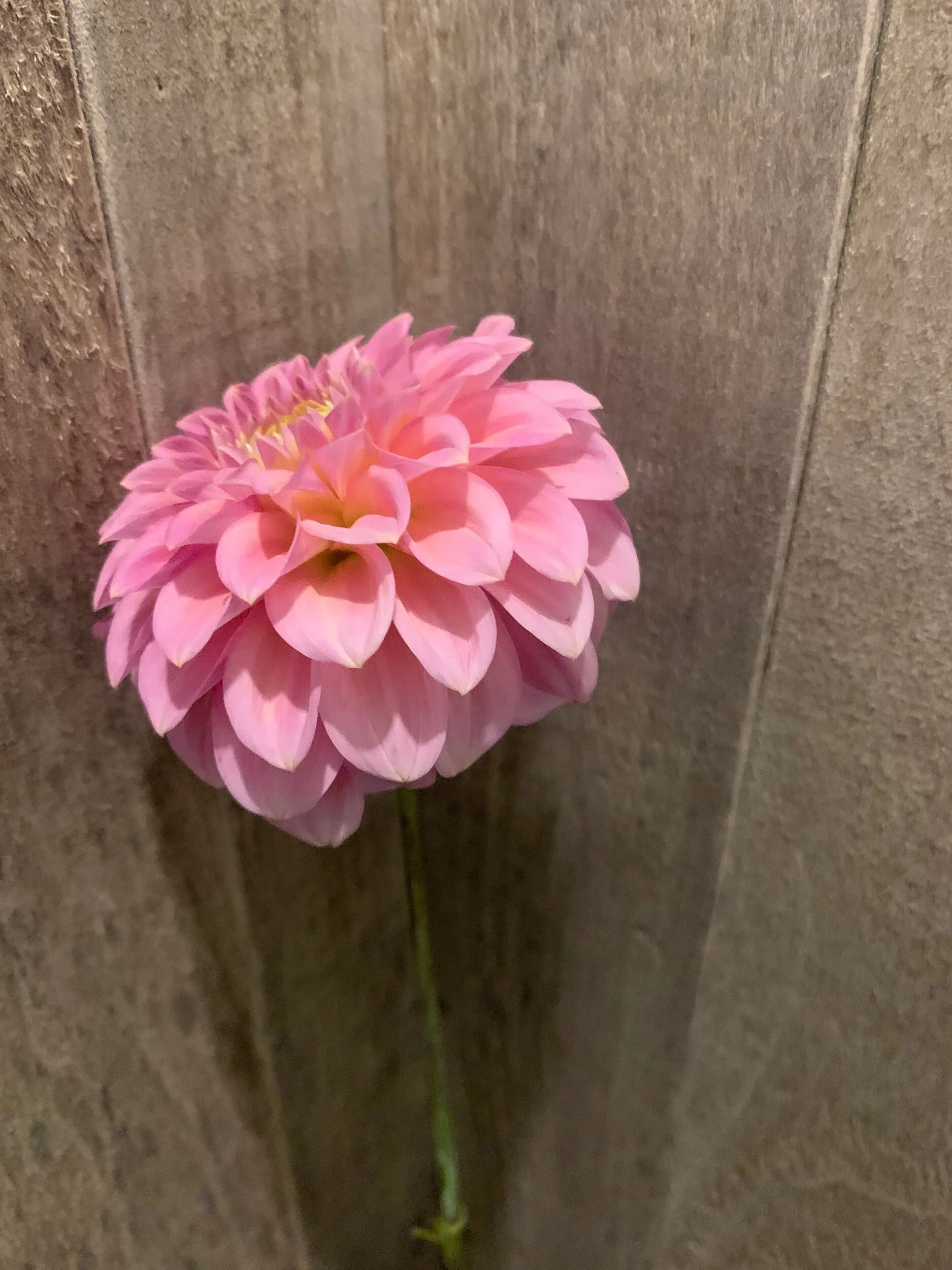 6672759F-7DDF-4631-A032-A26C7694B60E