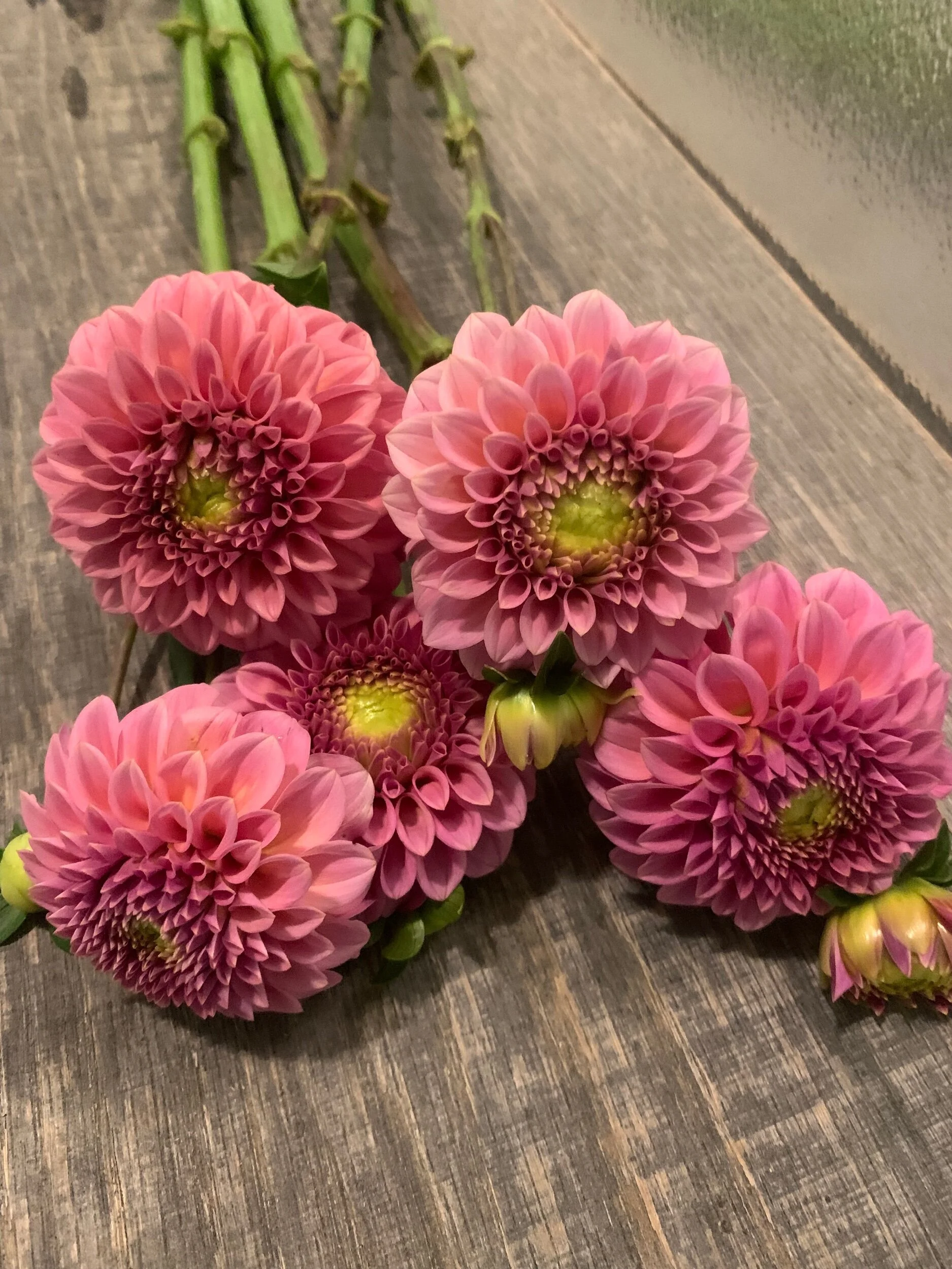 3453752D-29E6-4DBA-9AB0-8F9019F3CEF7