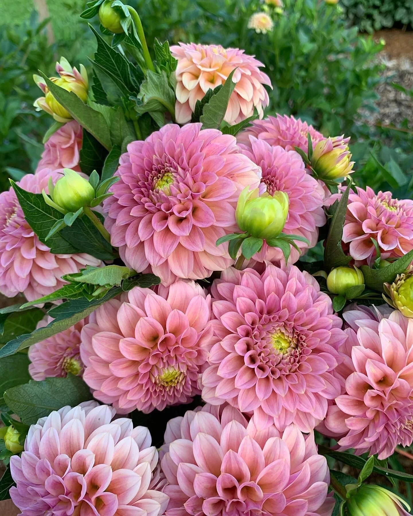 4D812908-0BC9-46CB-83F5-92BCDFD555E3