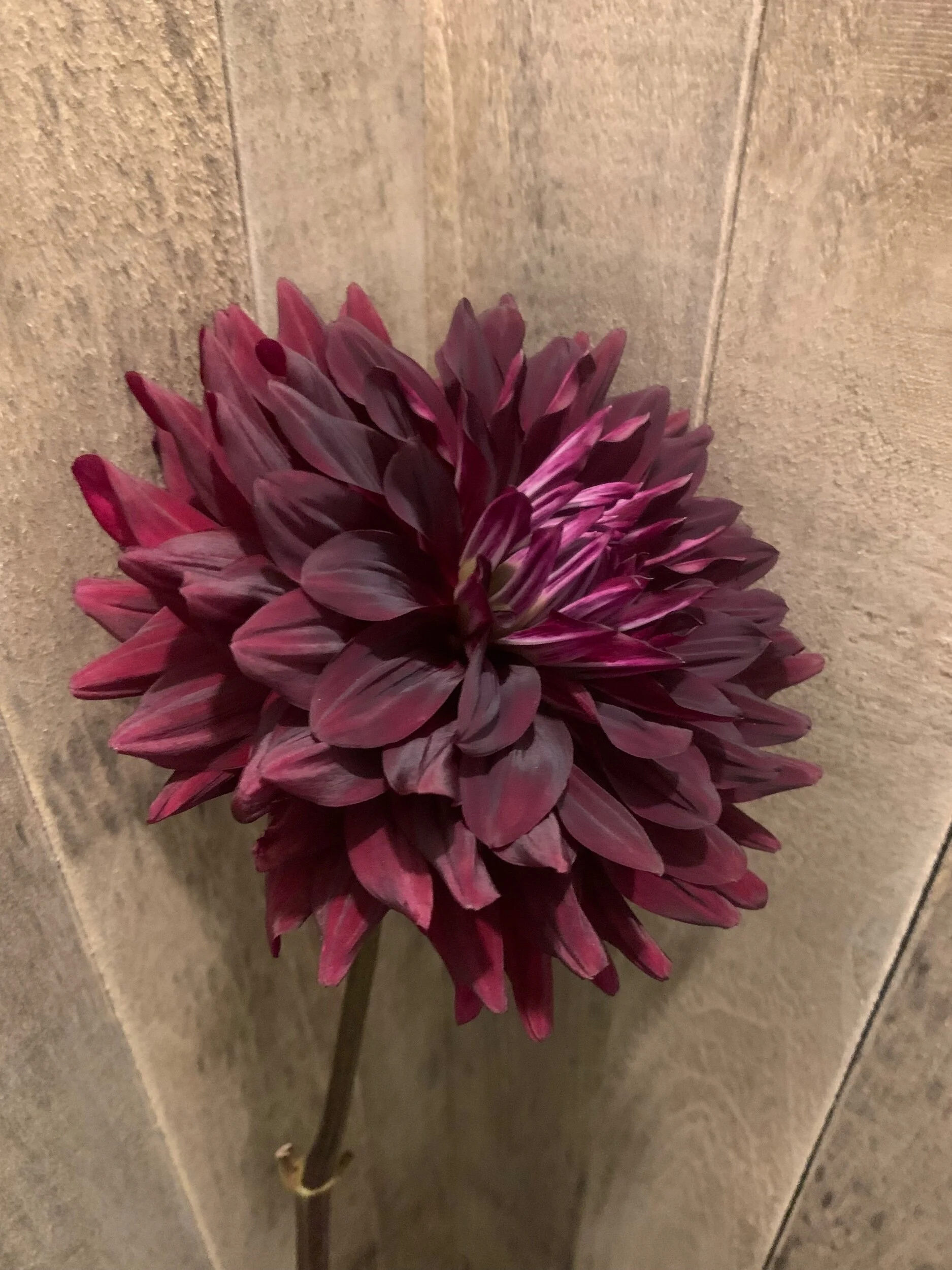 FC2B4047-1D3F-417D-B9CB-2B8C4D133C58