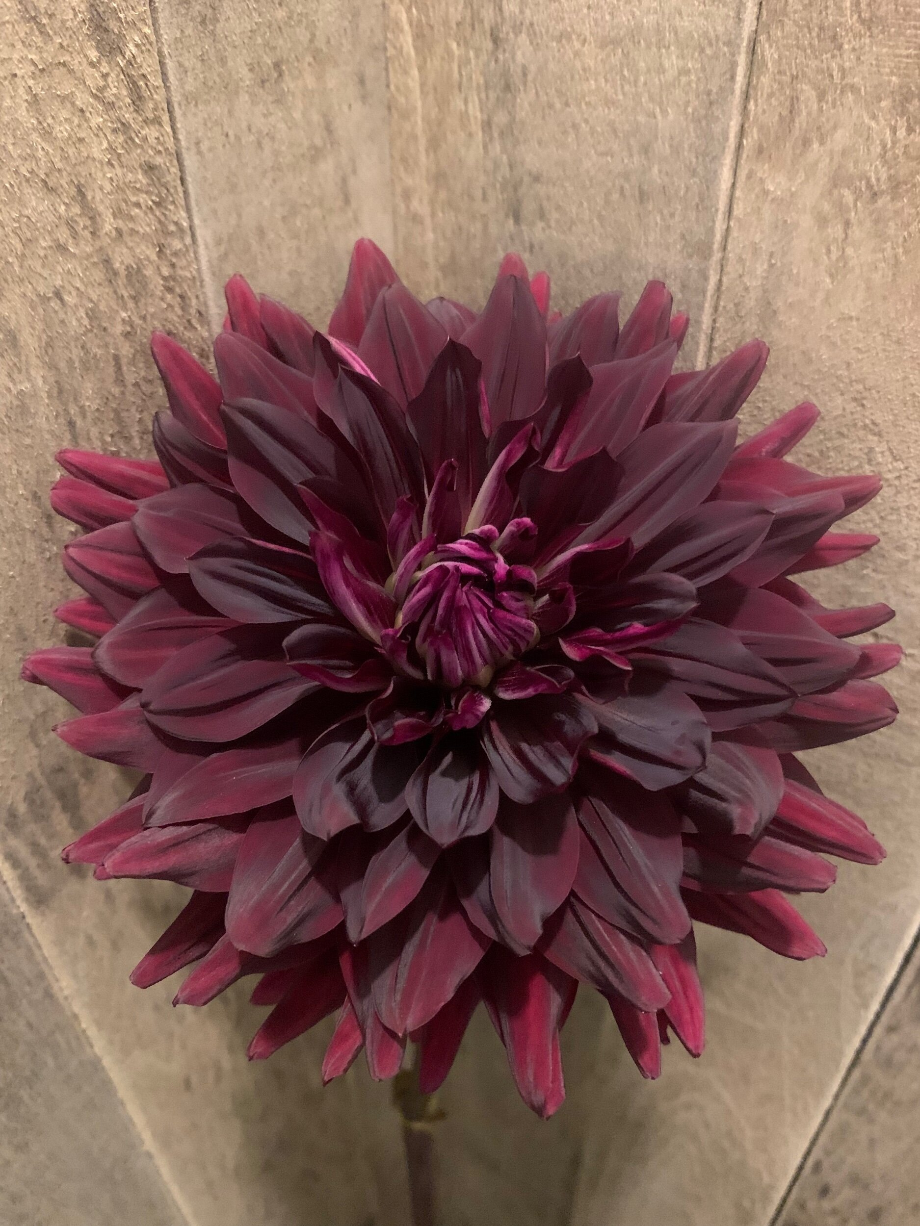 D2062F8C-469A-49A9-BA25-22FA2083A8F0