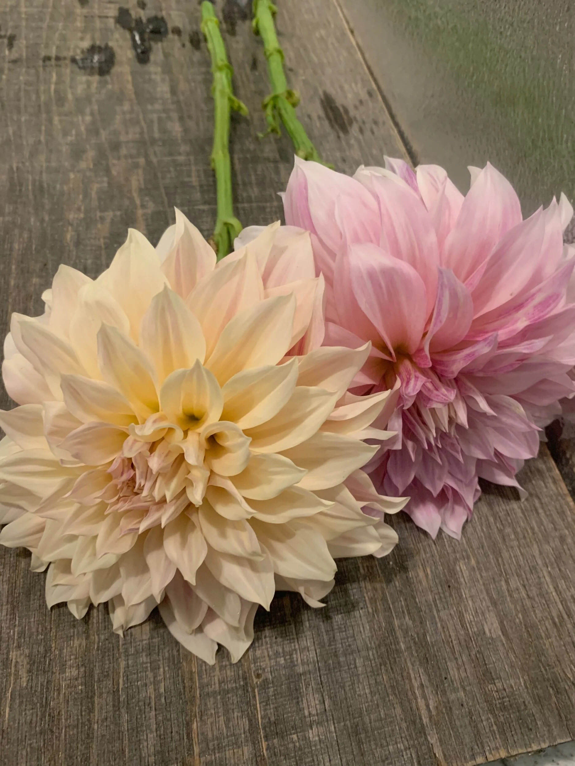 6033834B-B5D5-430B-B852-5AD0EAF97D23