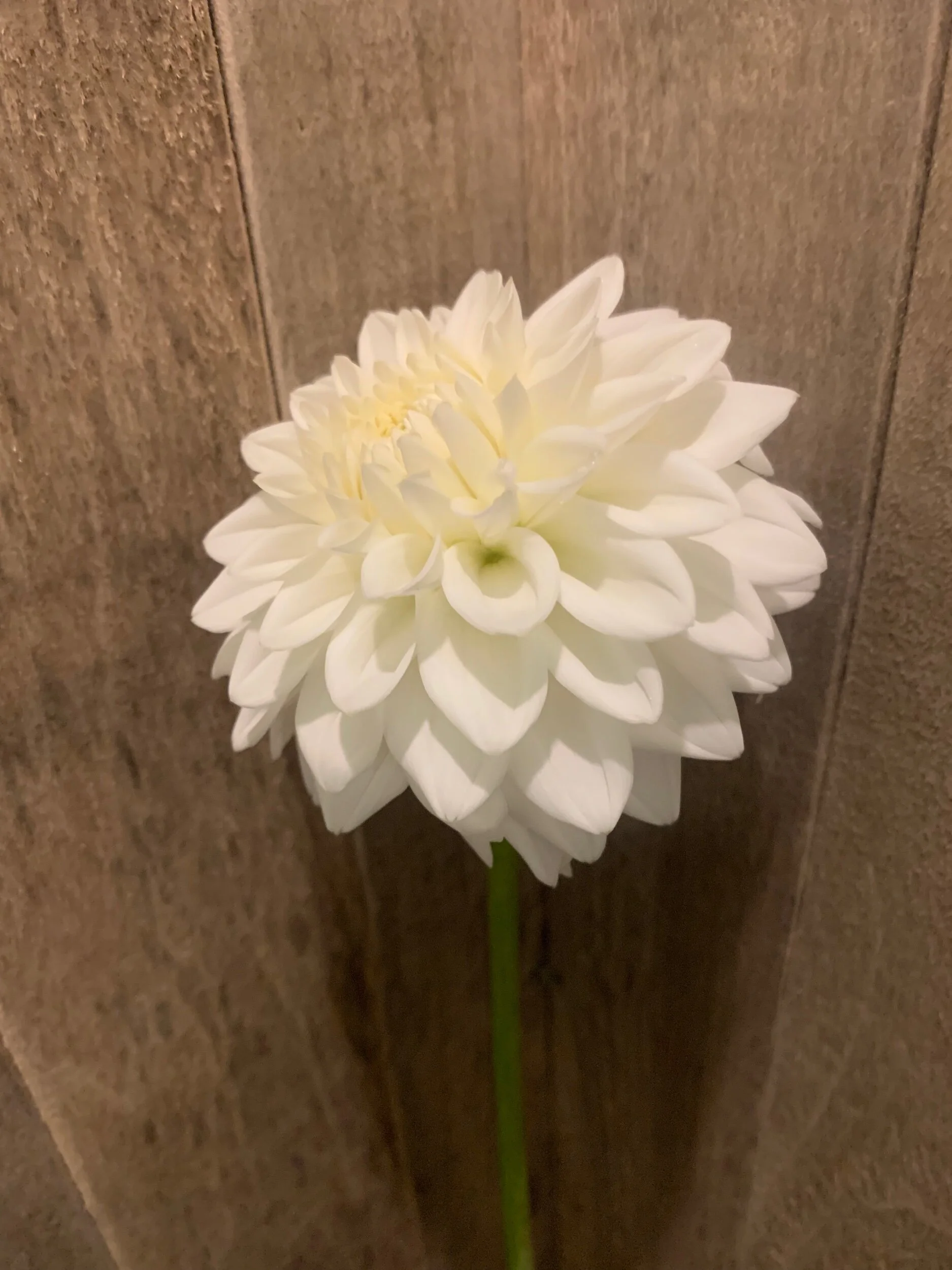 DA35BA63-8FF1-4148-BF9F-5FE3461677DA