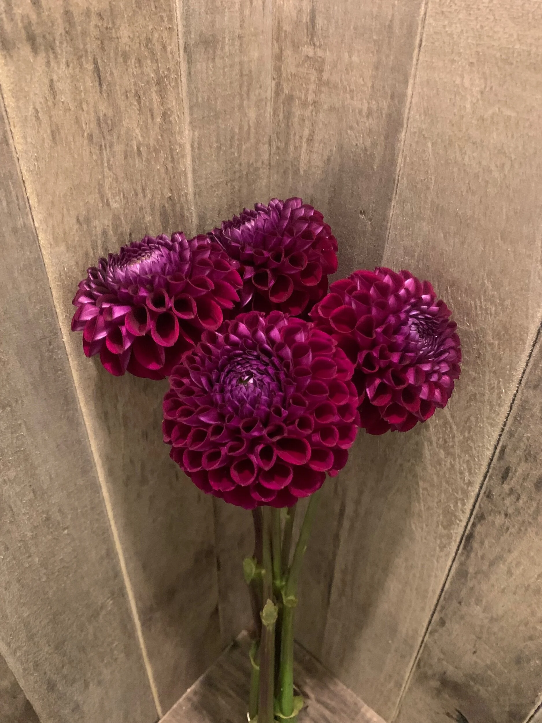 9FFAB557-6DBA-48FD-ABD3-2468B3EC2F4E