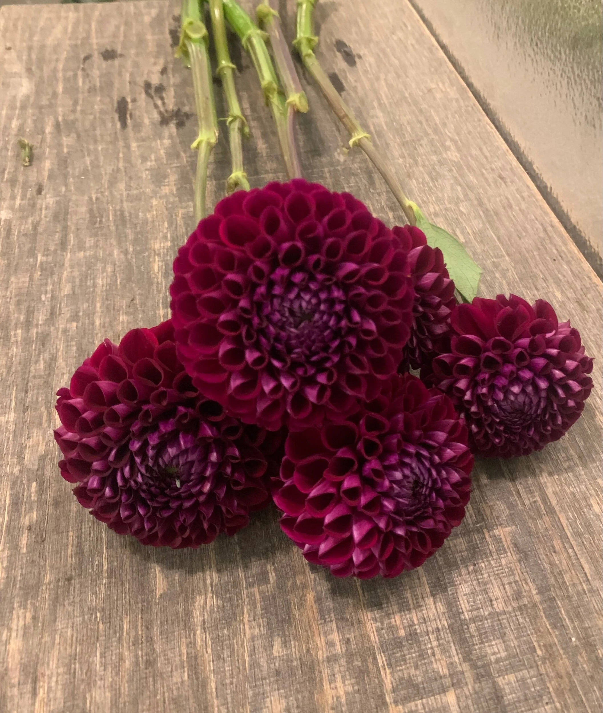 2EEAC10E-F3CE-4287-94FC-08DBC2BFE072