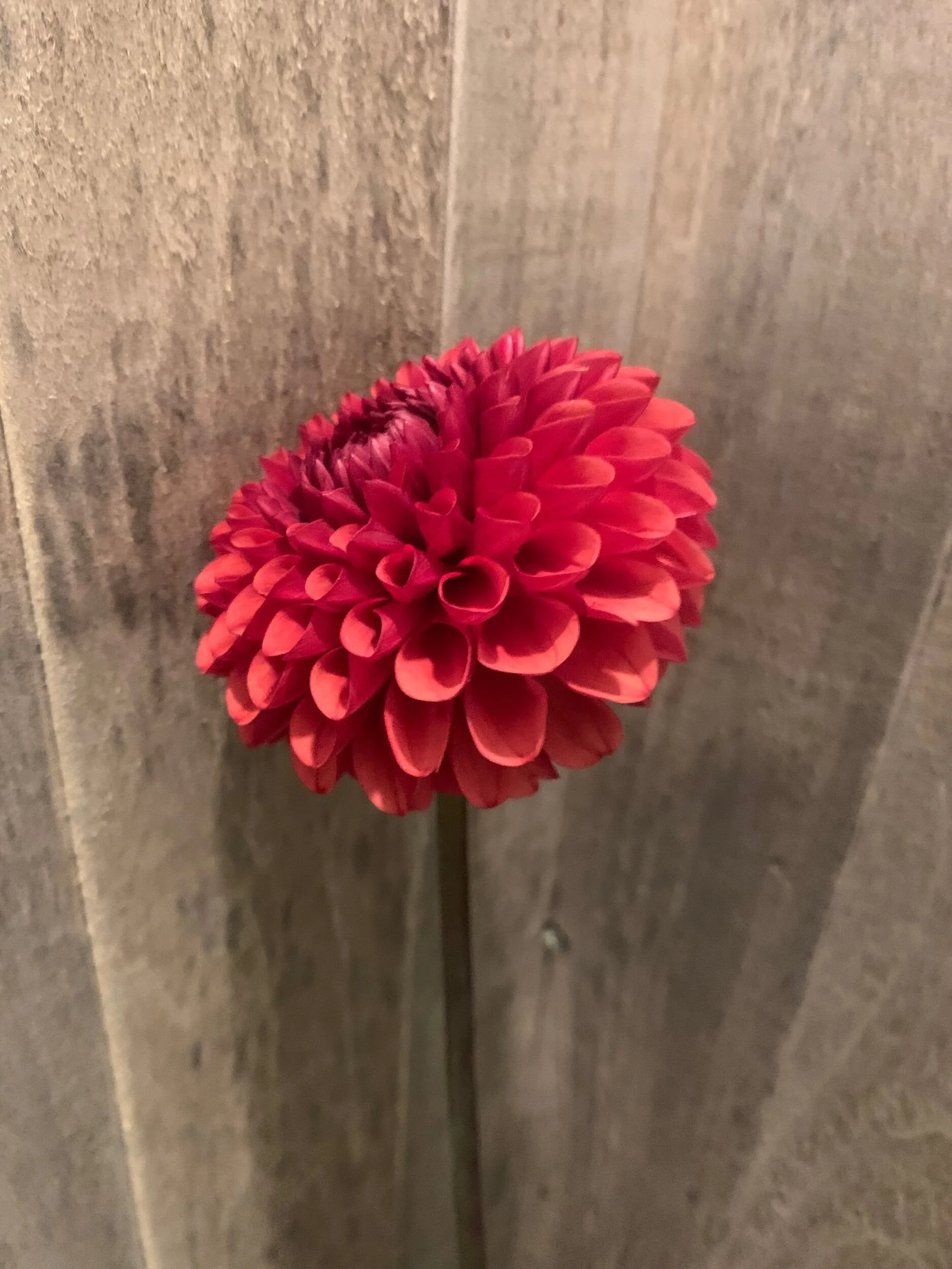 D671260C-AF13-4B7B-8B59-79EBBE153EA0