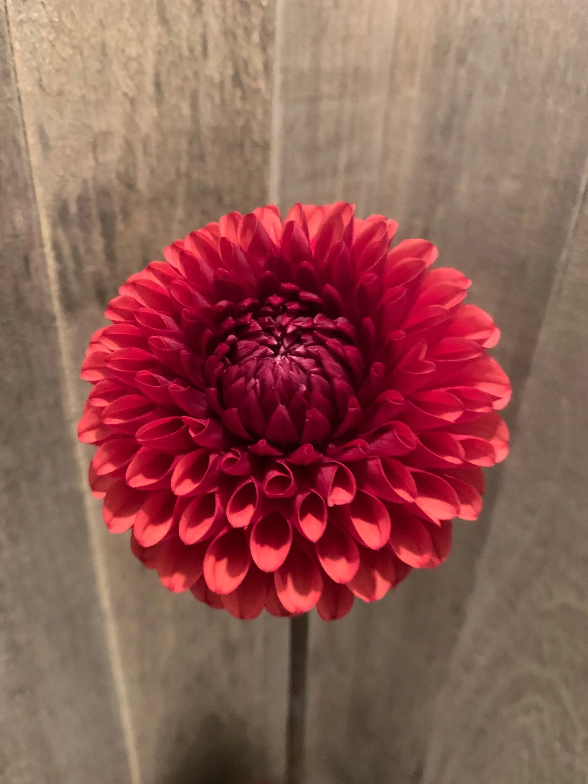 34E6F1E4-360F-481E-9FDF-815C18073C92