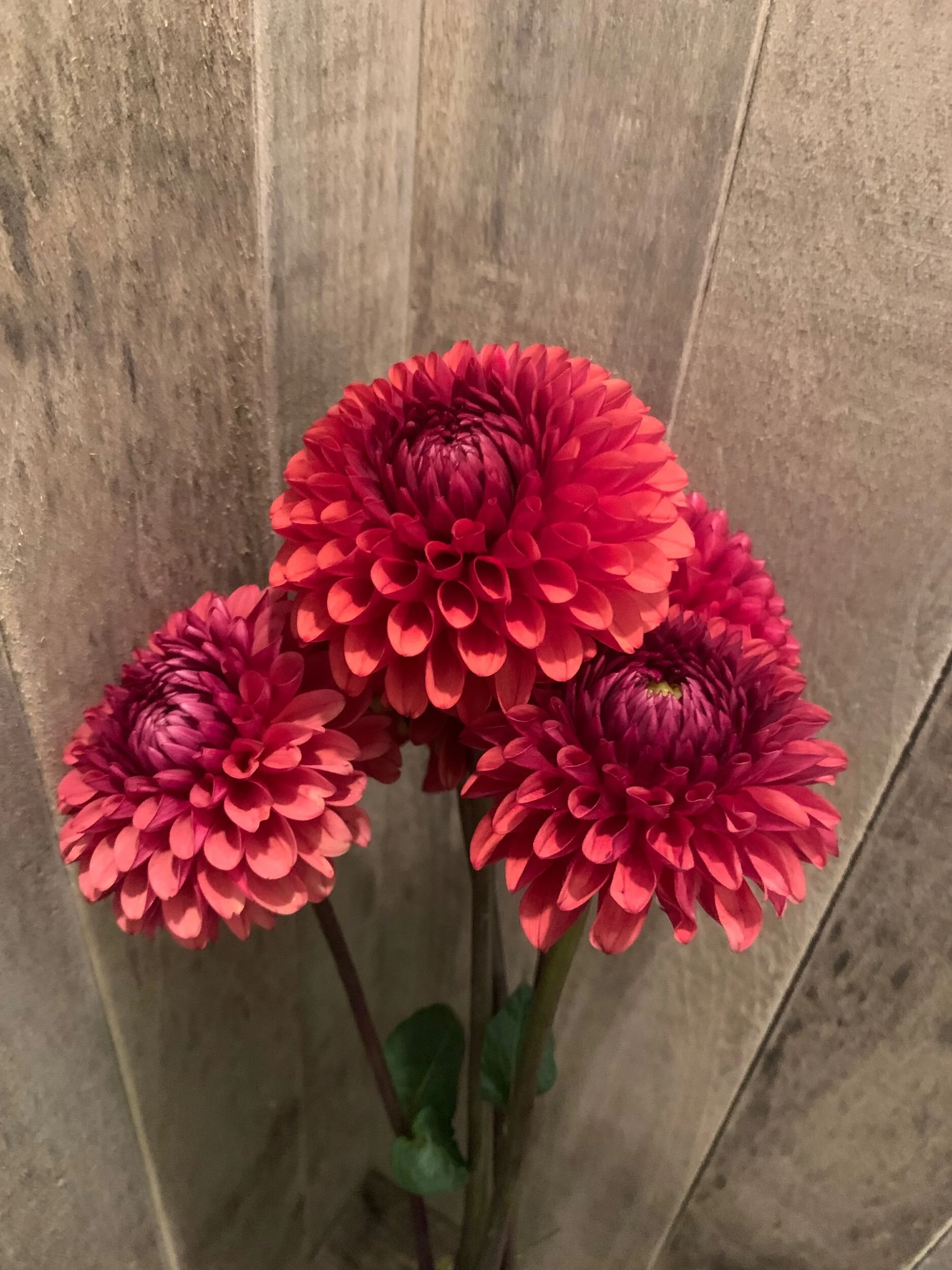 0110A616-E537-4A89-806C-1E207847719B