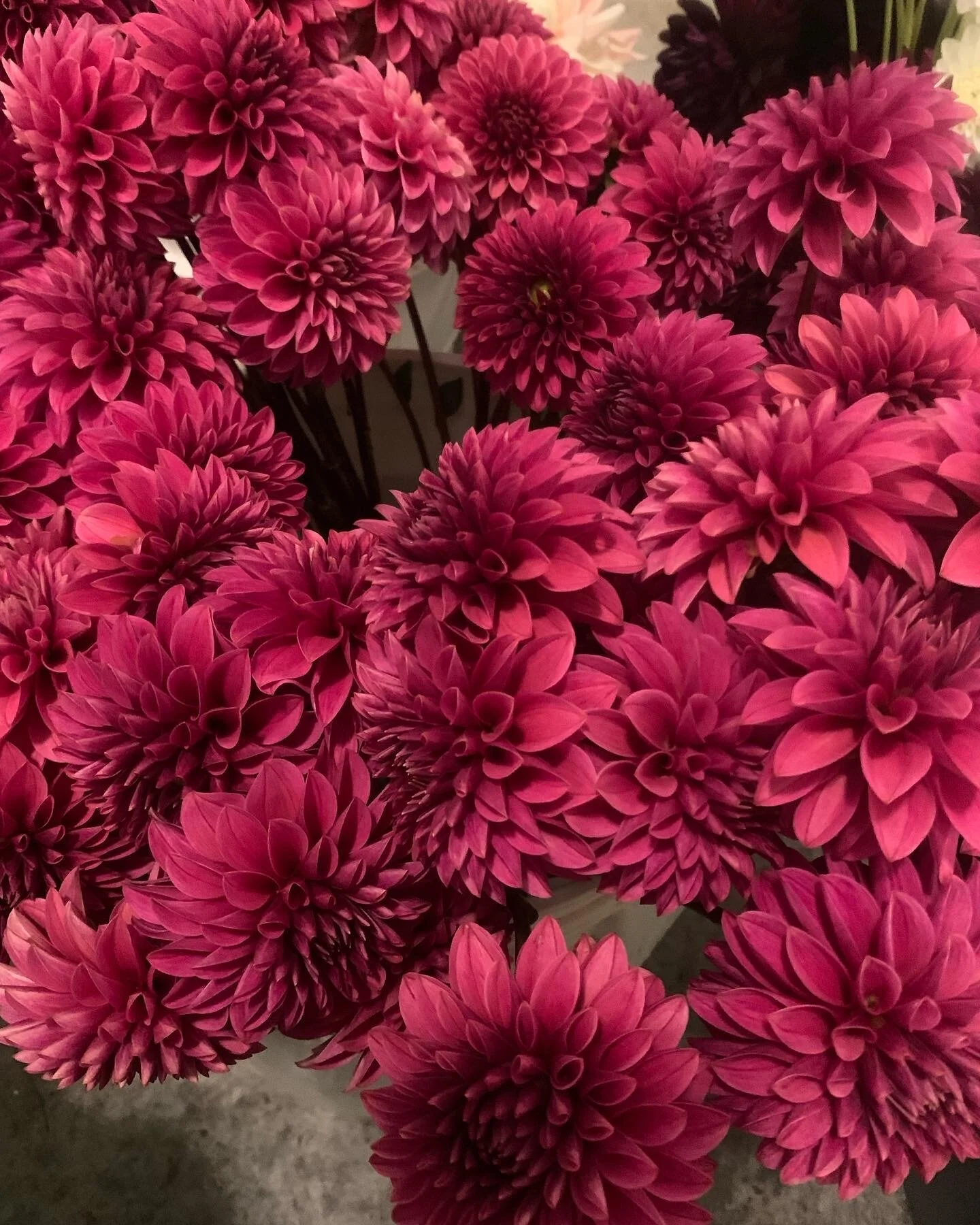 B945C630-BDED-4C1A-94BE-0ADB722F180F