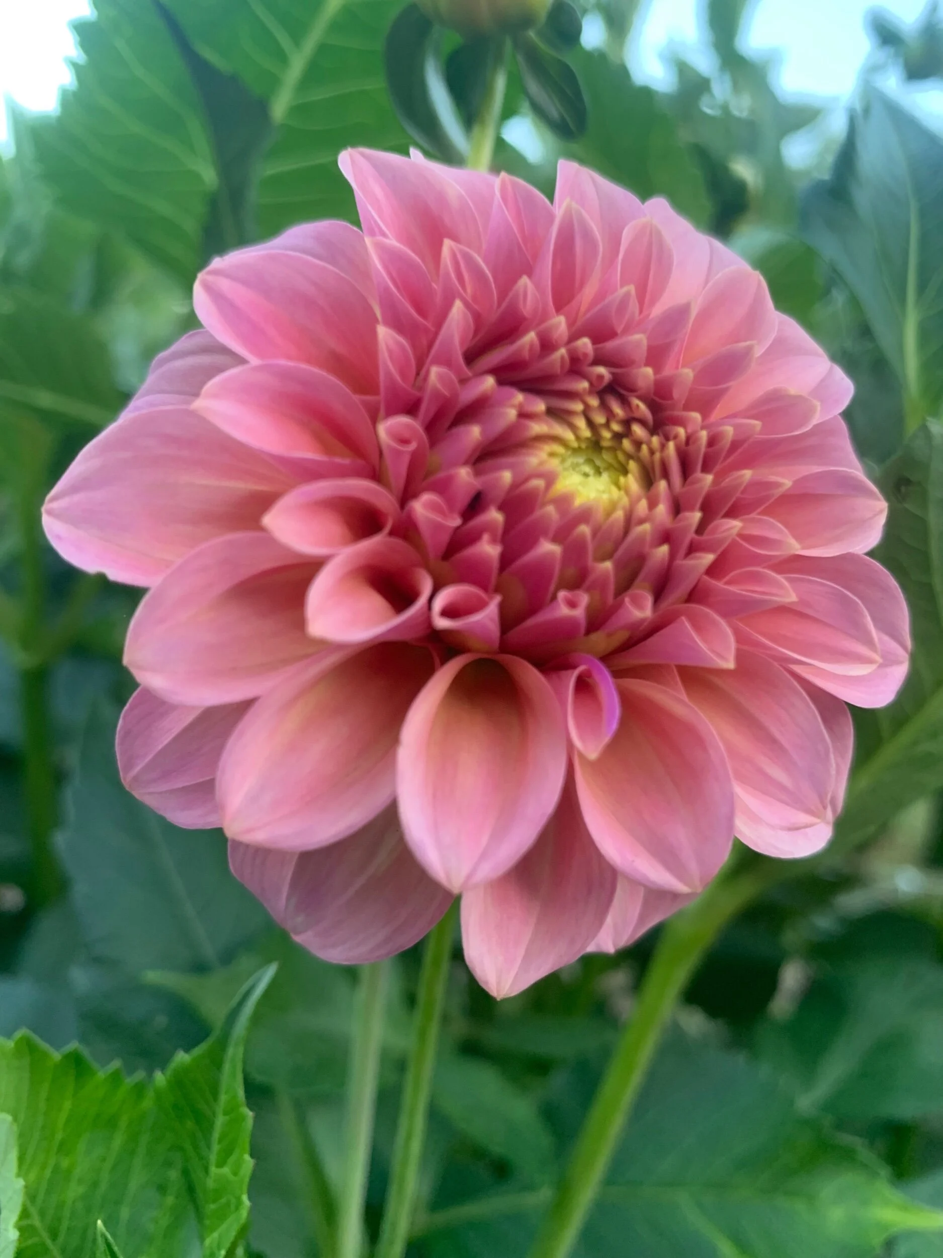 9179B51C-A11D-40DE-A044-8BE435487ABE