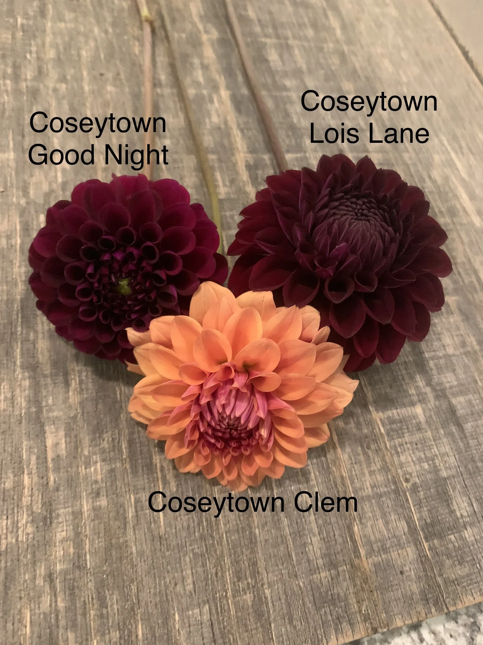 2EF4CC69-7B90-4EF7-9F69-DE69F2844AA2