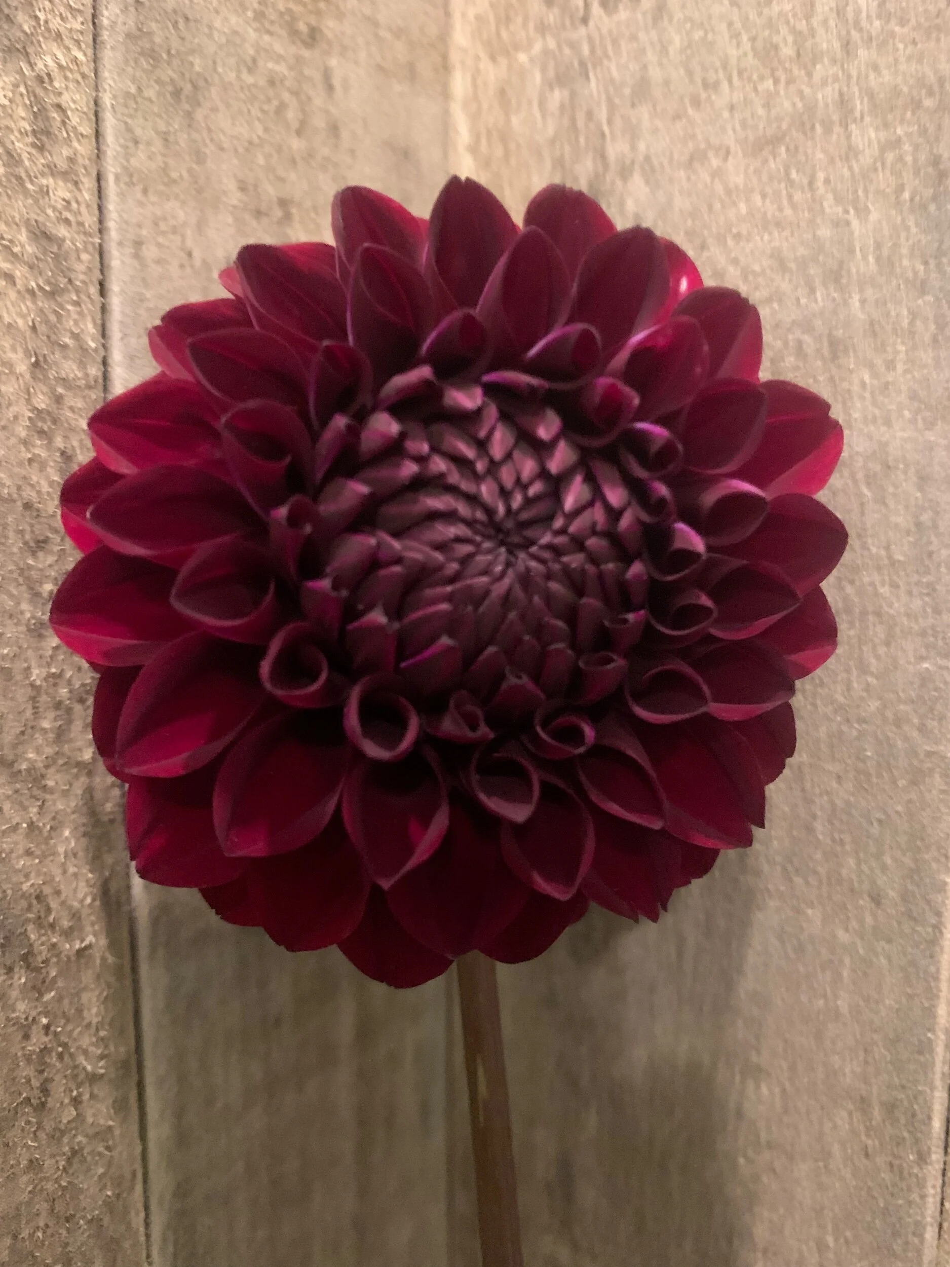 C11DF73D-298E-49B9-99D2-6E261691FD74