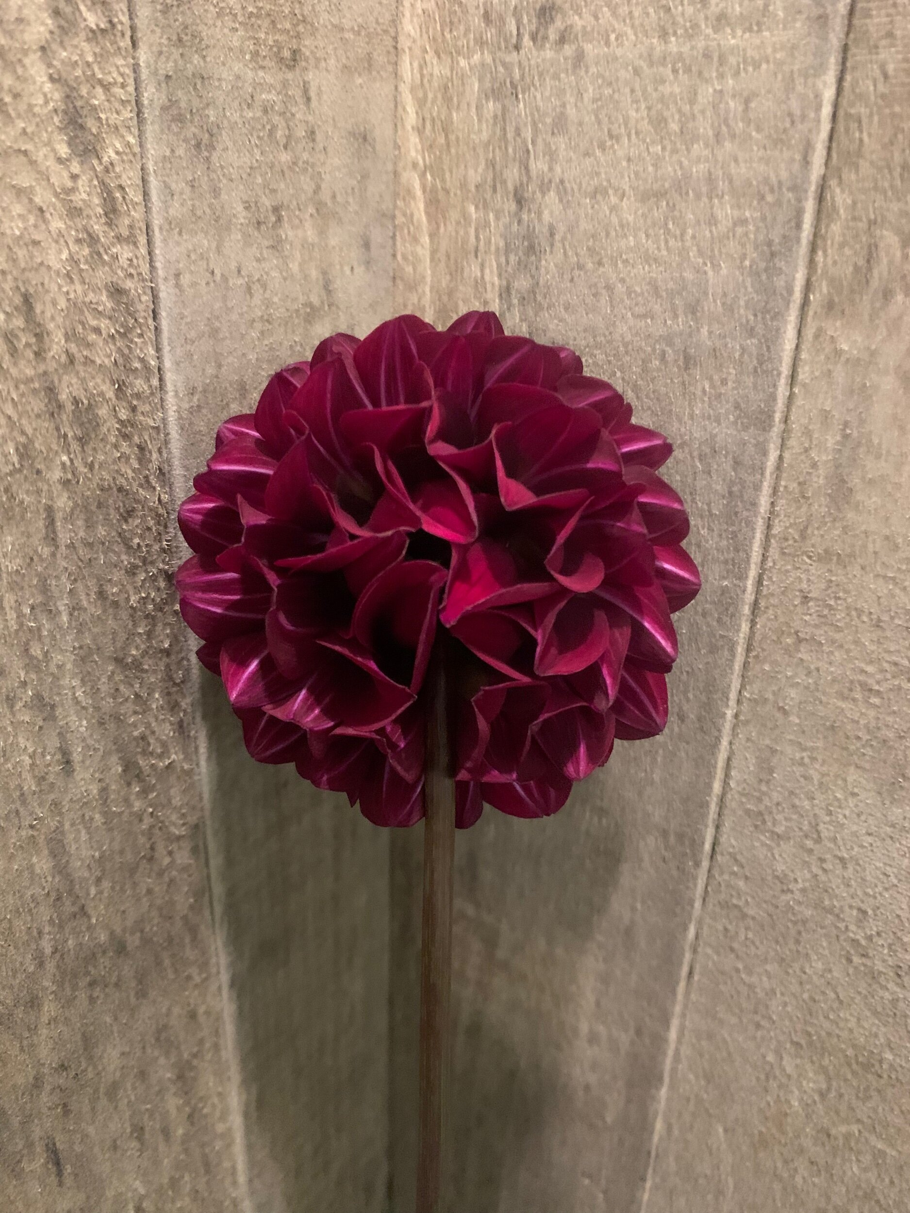 99624EB5-9724-4C50-ACD2-95CB3EE9BB28