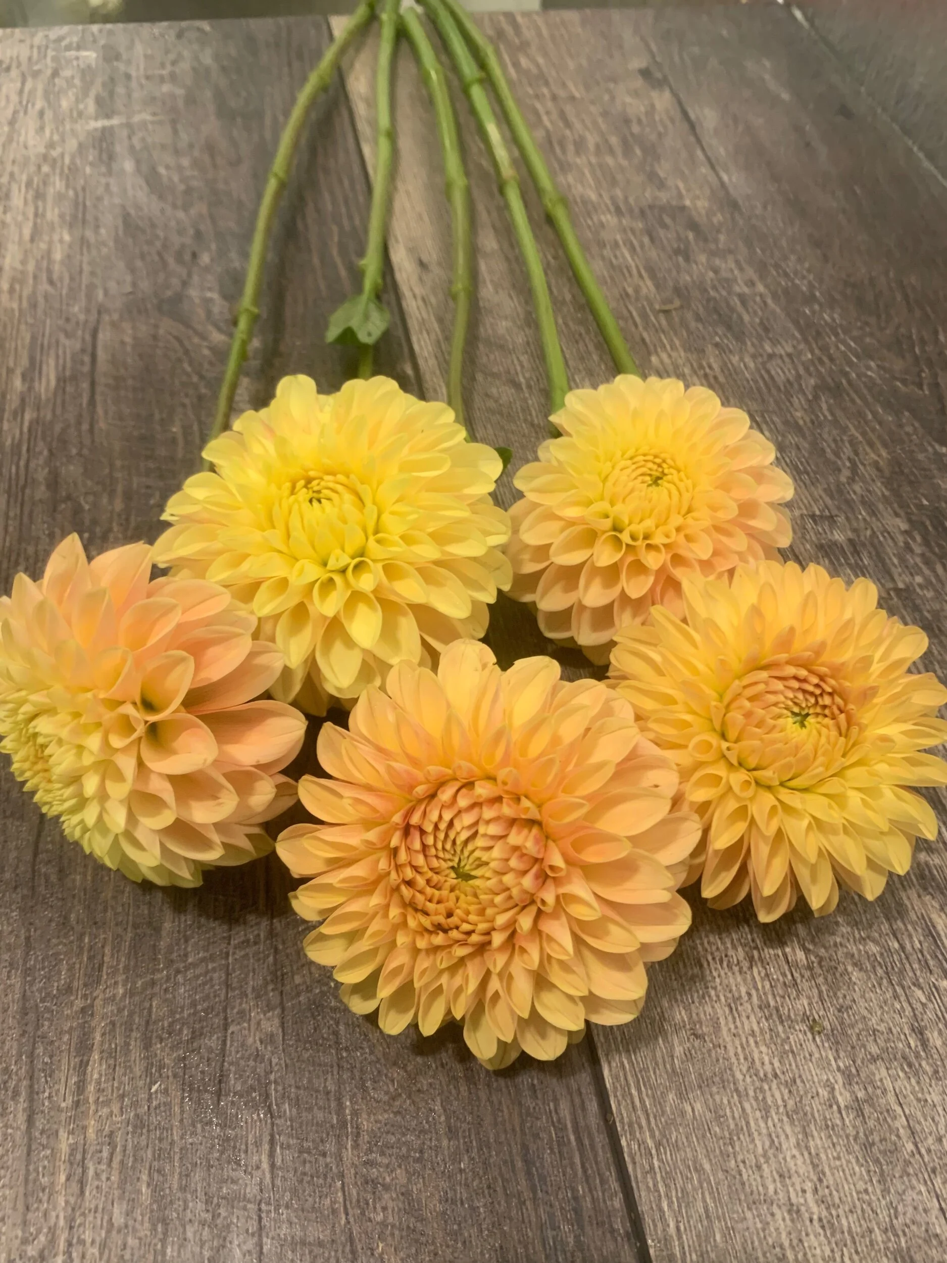 690CC5AE-F0B2-43F7-AED8-D856A867F73C