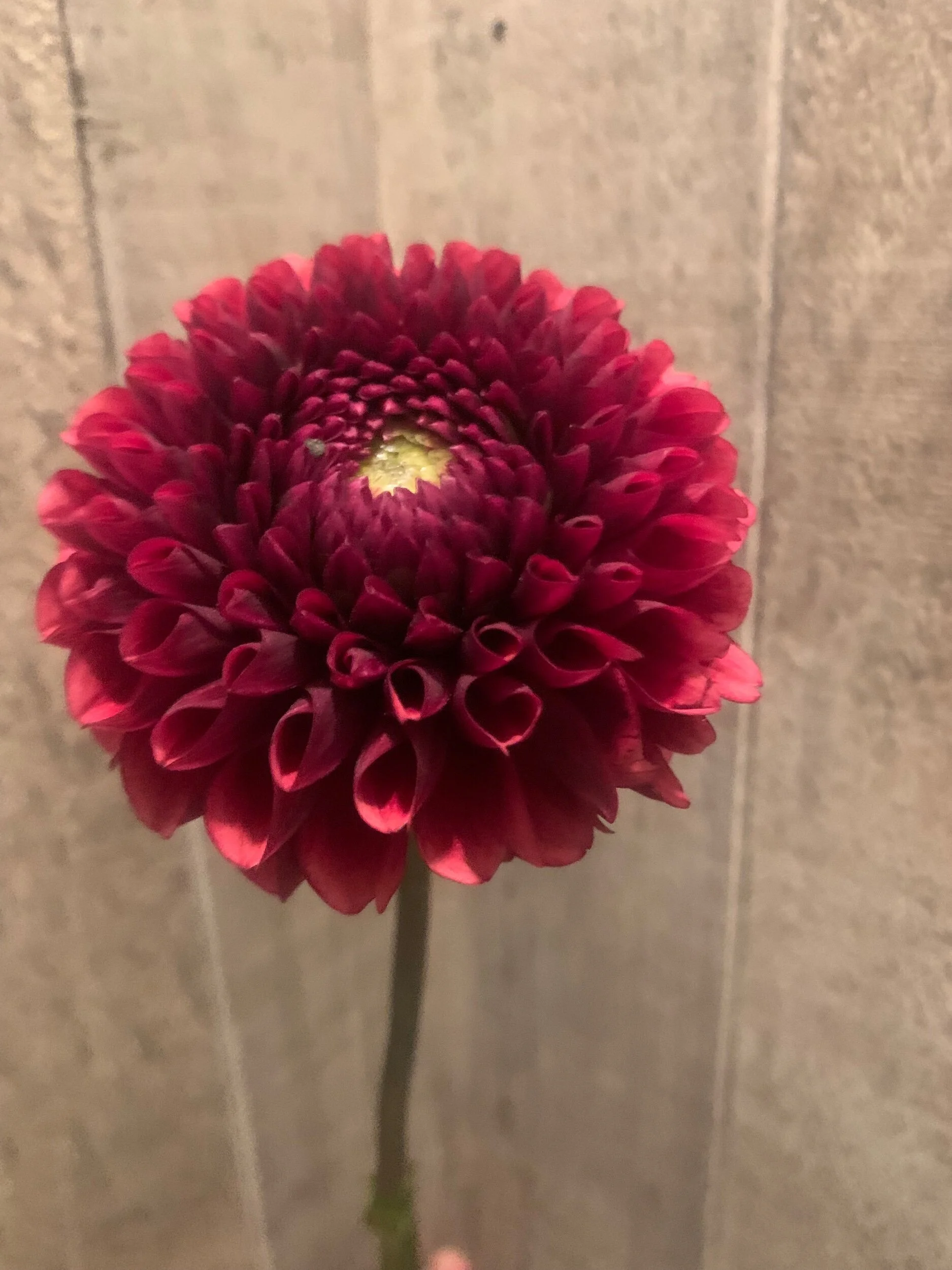 E4575CE3-28E2-4B47-9A7C-EC76874B5AB6