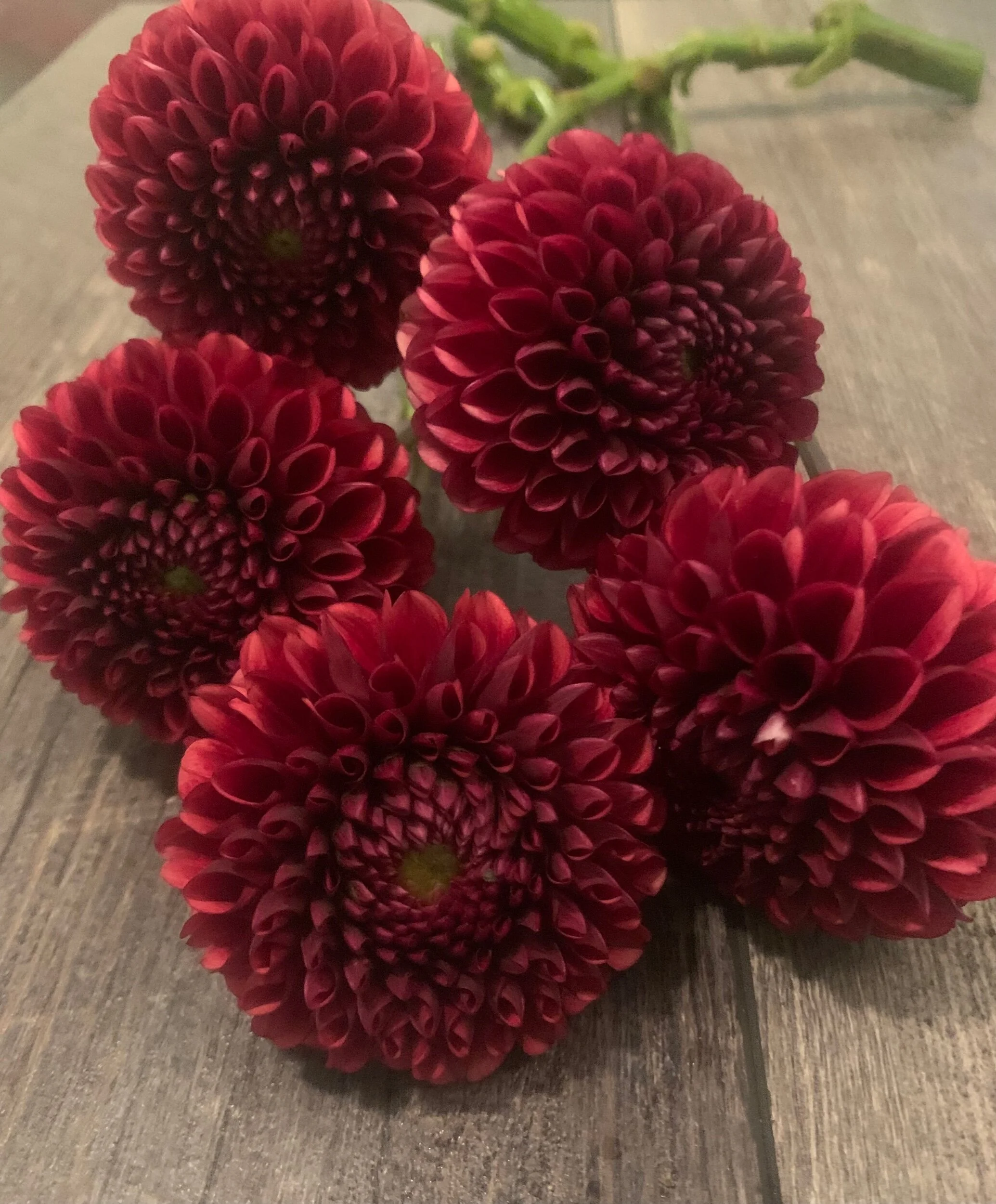 5EED903F-8909-4EF9-AE76-32B8D938ABC2