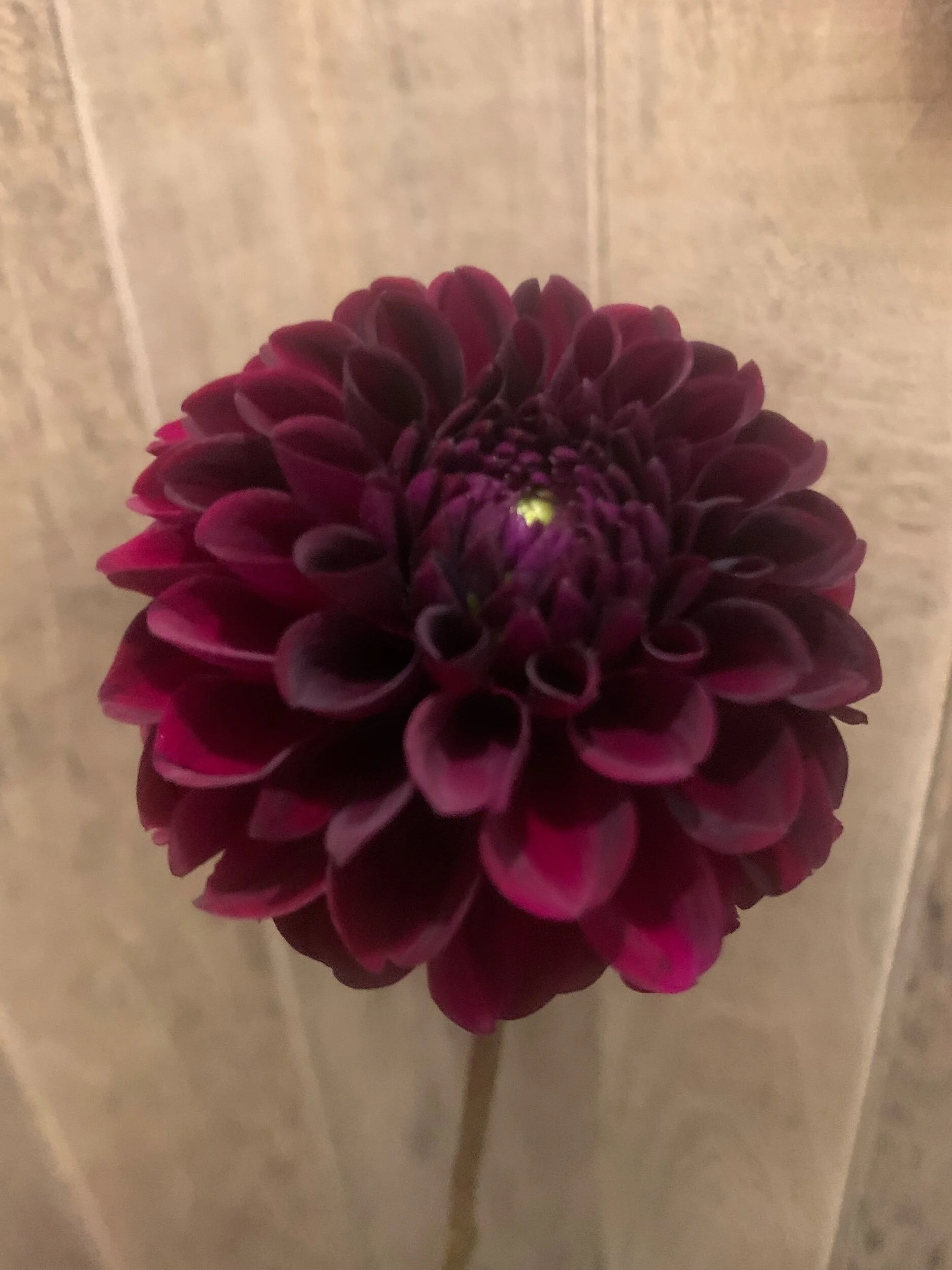 72EEF46B-9AA0-4C70-BBA9-57F6B5748D5B