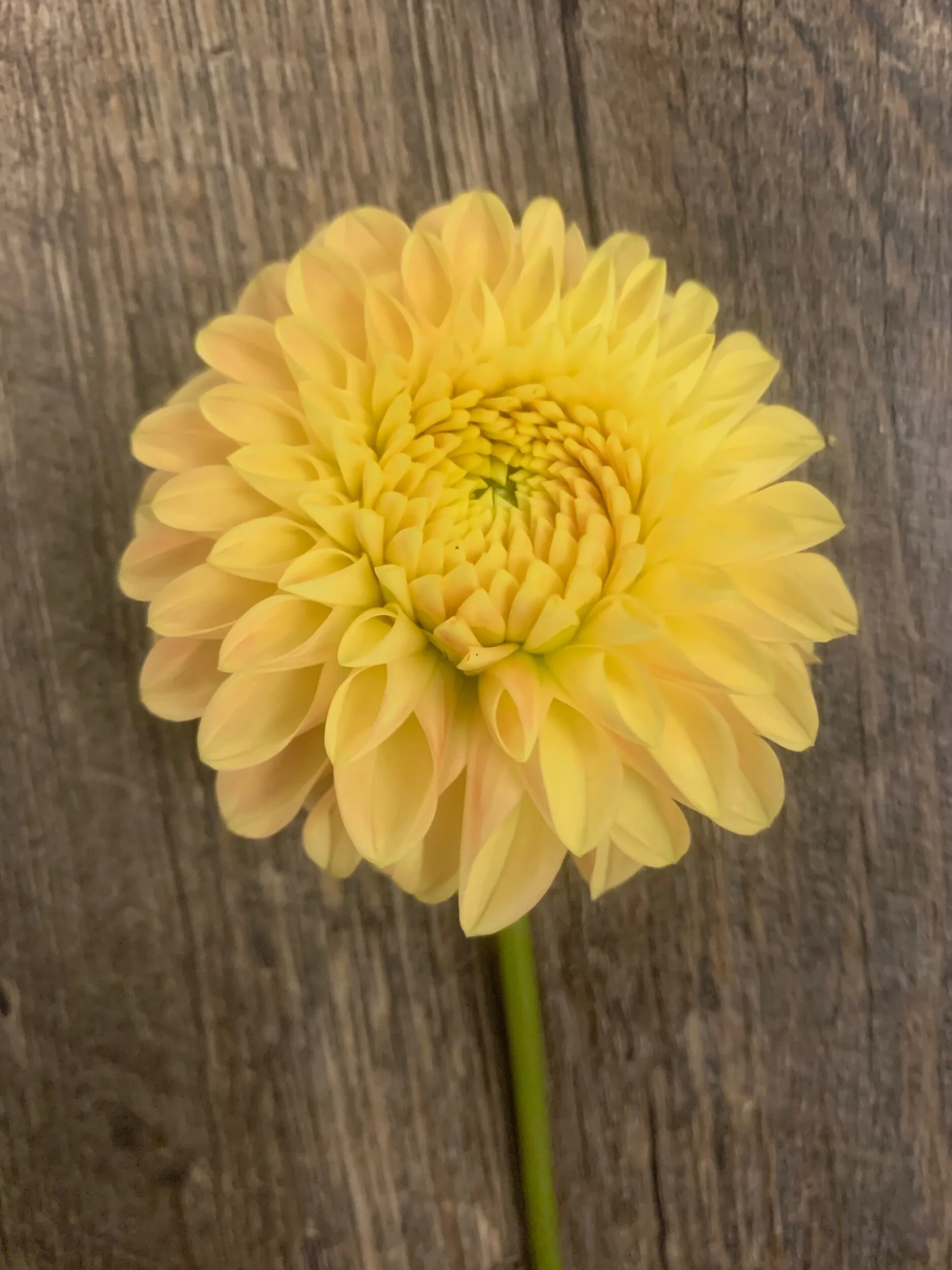 21E94C2D-1EE1-4273-B788-AB53D8037EA3