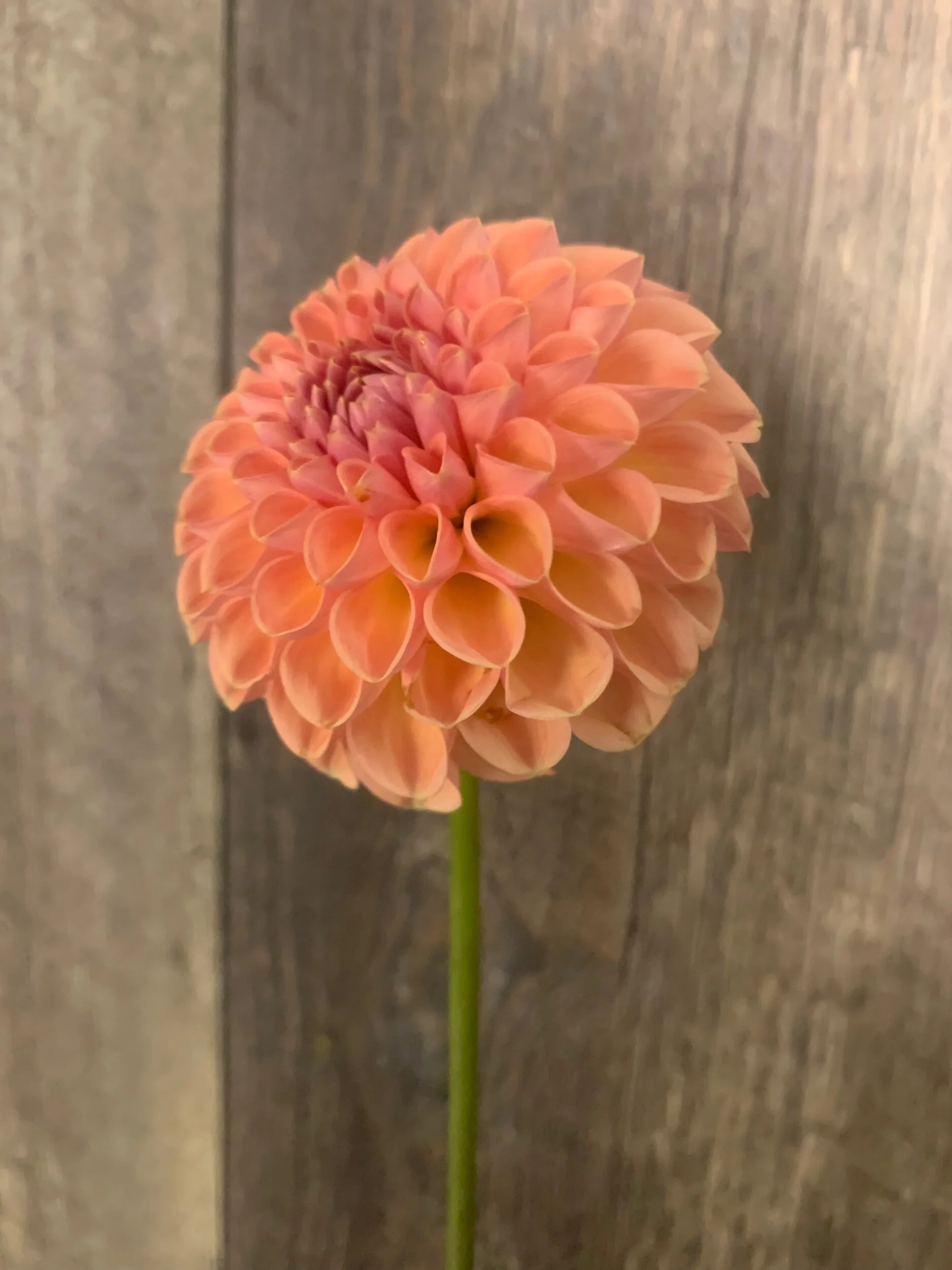 EDCFB9B2-BDB2-44B0-B930-EECAAC87DBBE