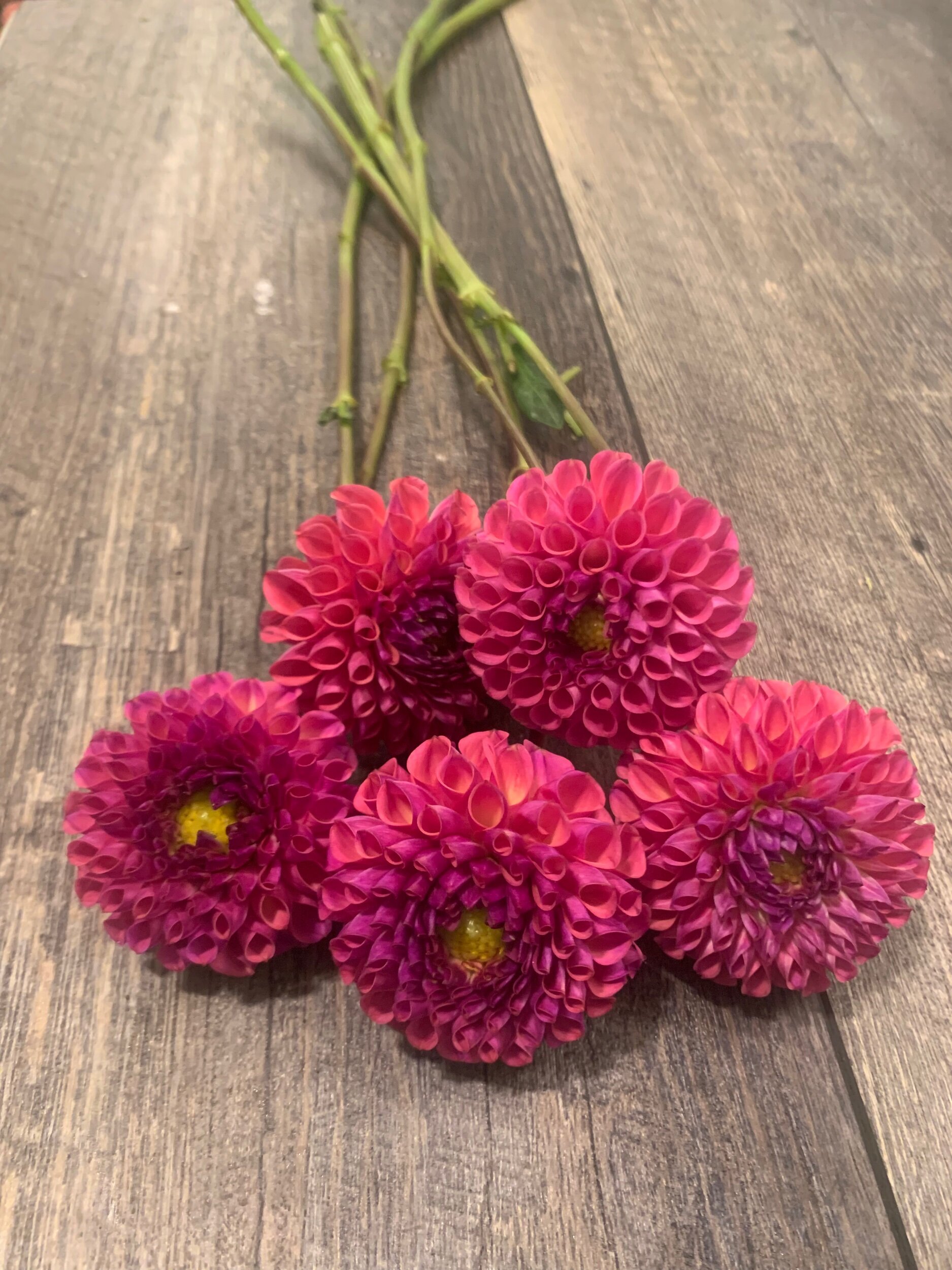 AFD800C4-C13A-4533-AE42-2F031117FD4F