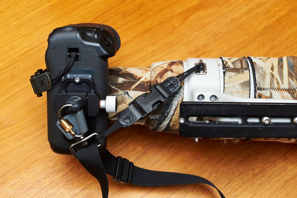 Black Rapid strap securely attached to both camera and lens with a Kirk quick release clamp.