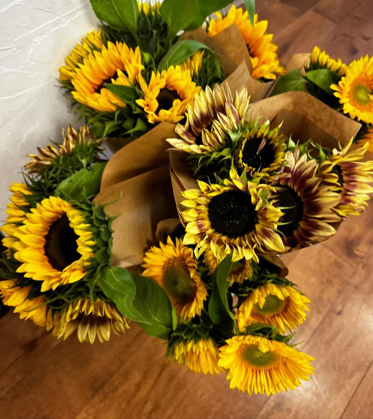 🌻🌻 Sunnies are here! 🌻🌻

They are the perfect splash of sunshine as we head into fall. 

Mix them into a bouquet or grab &lsquo;em by the bunch! 🌻🌻🌻 

BTW - how are we feeling about fall? Are we ready for summer to be over?? 😬🌻