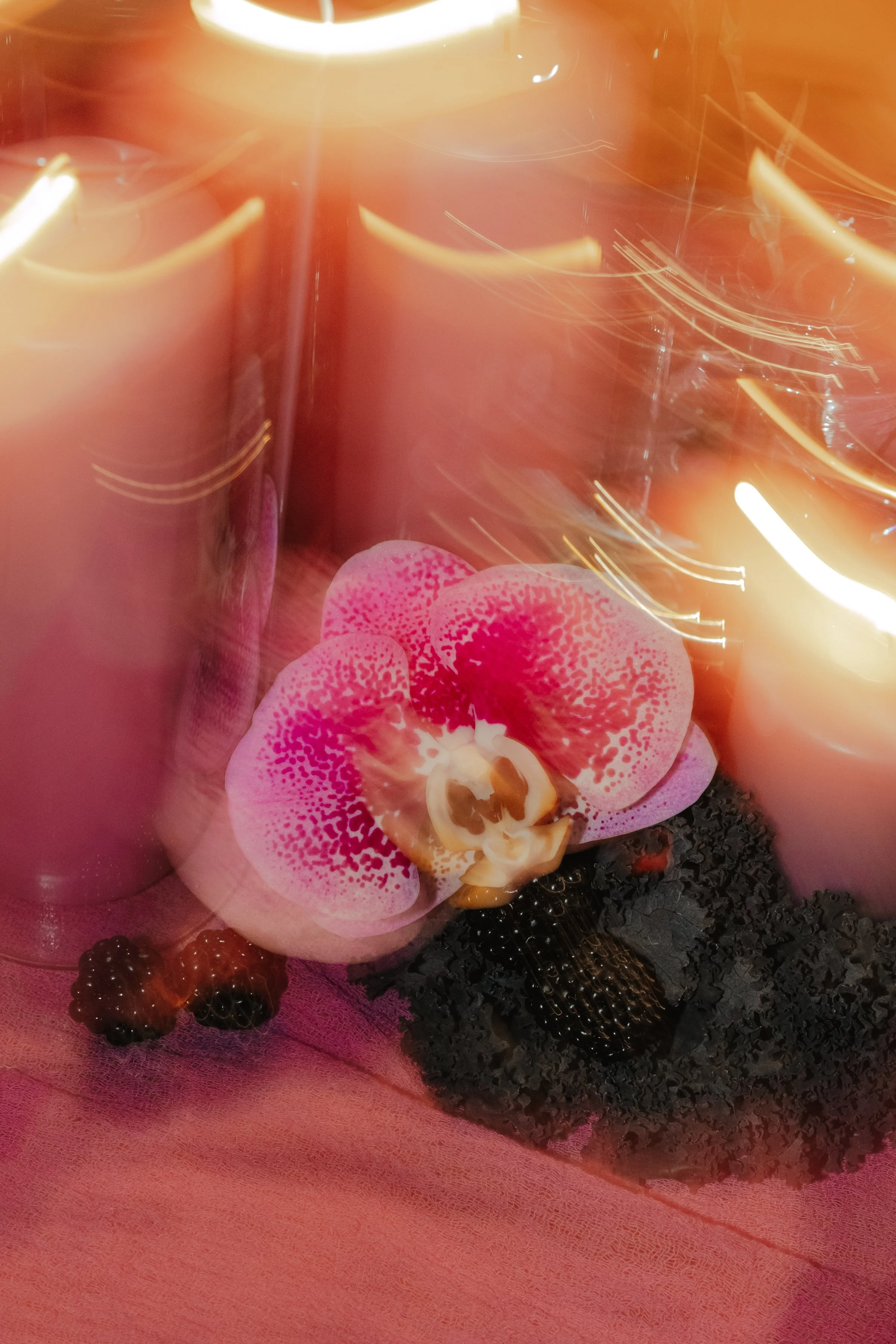 Pink orchid flower with black berries and a textured black base, surrounded by candles in glass holders, creating a warm, romantic setting.