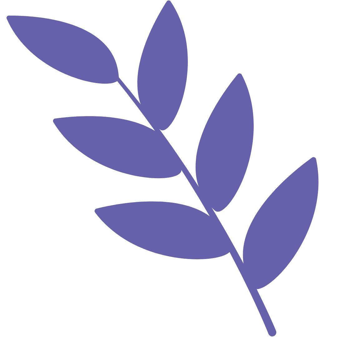 Botanical graphic