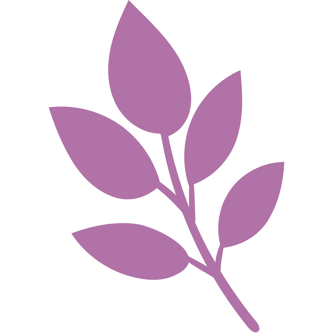 Botanical graphic