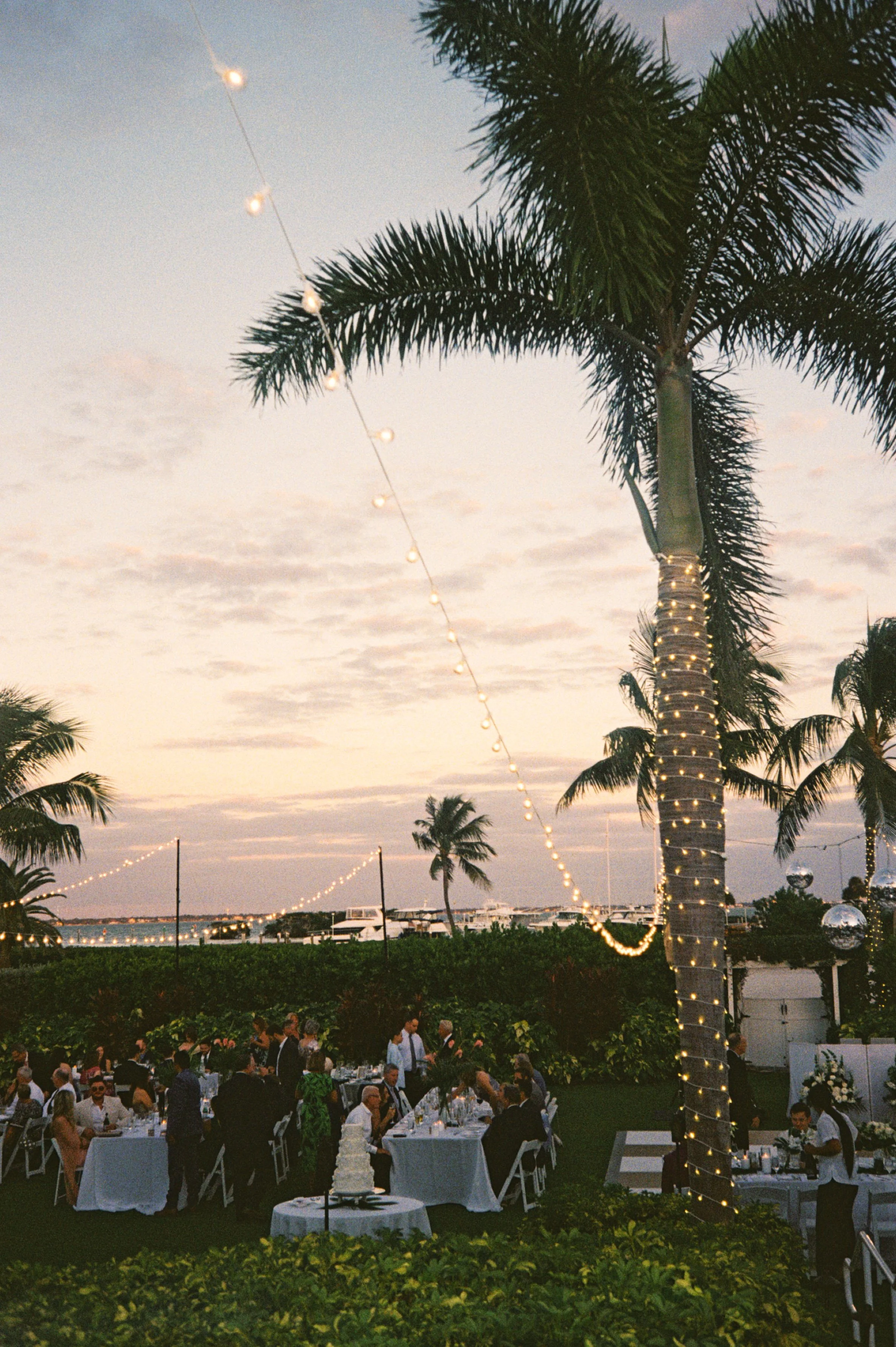 An outdoor evening celebration with guests seated at tables under palm trees decorated with string lights, near a body of water.