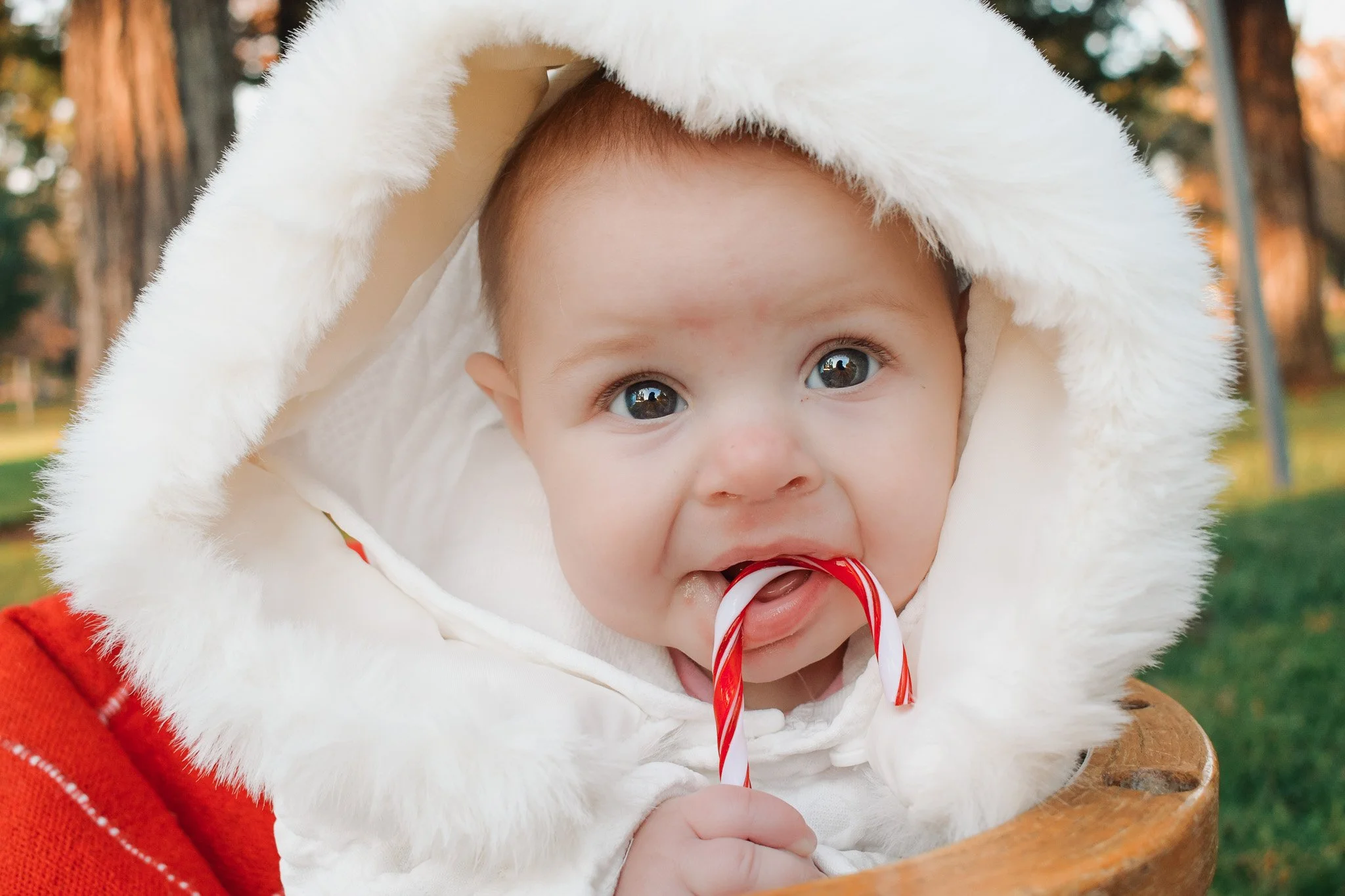 Elk Grove Family Portraits - Mini Session - Candy Cane Booth
