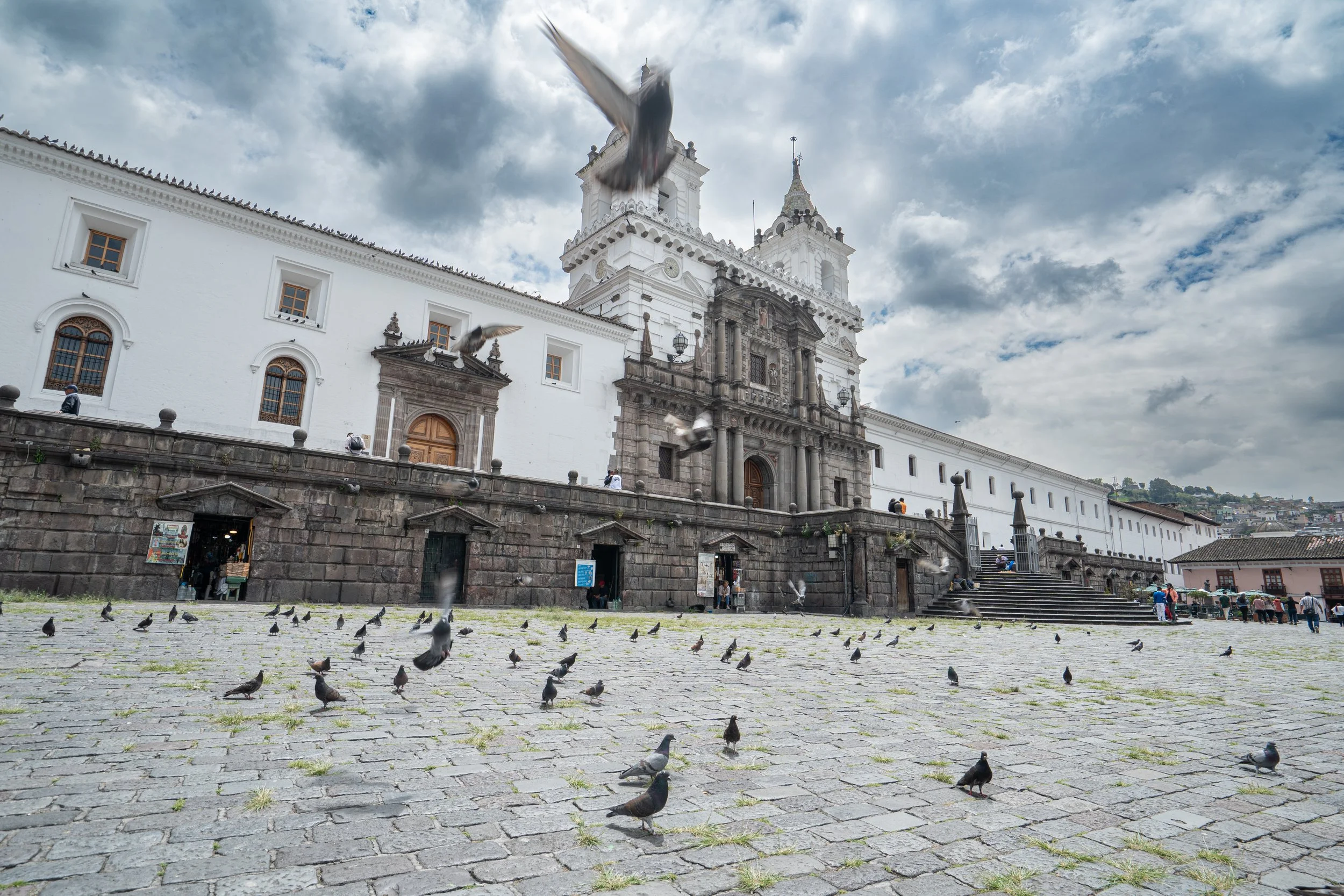Pigeons in the square - Quito, Ecuador