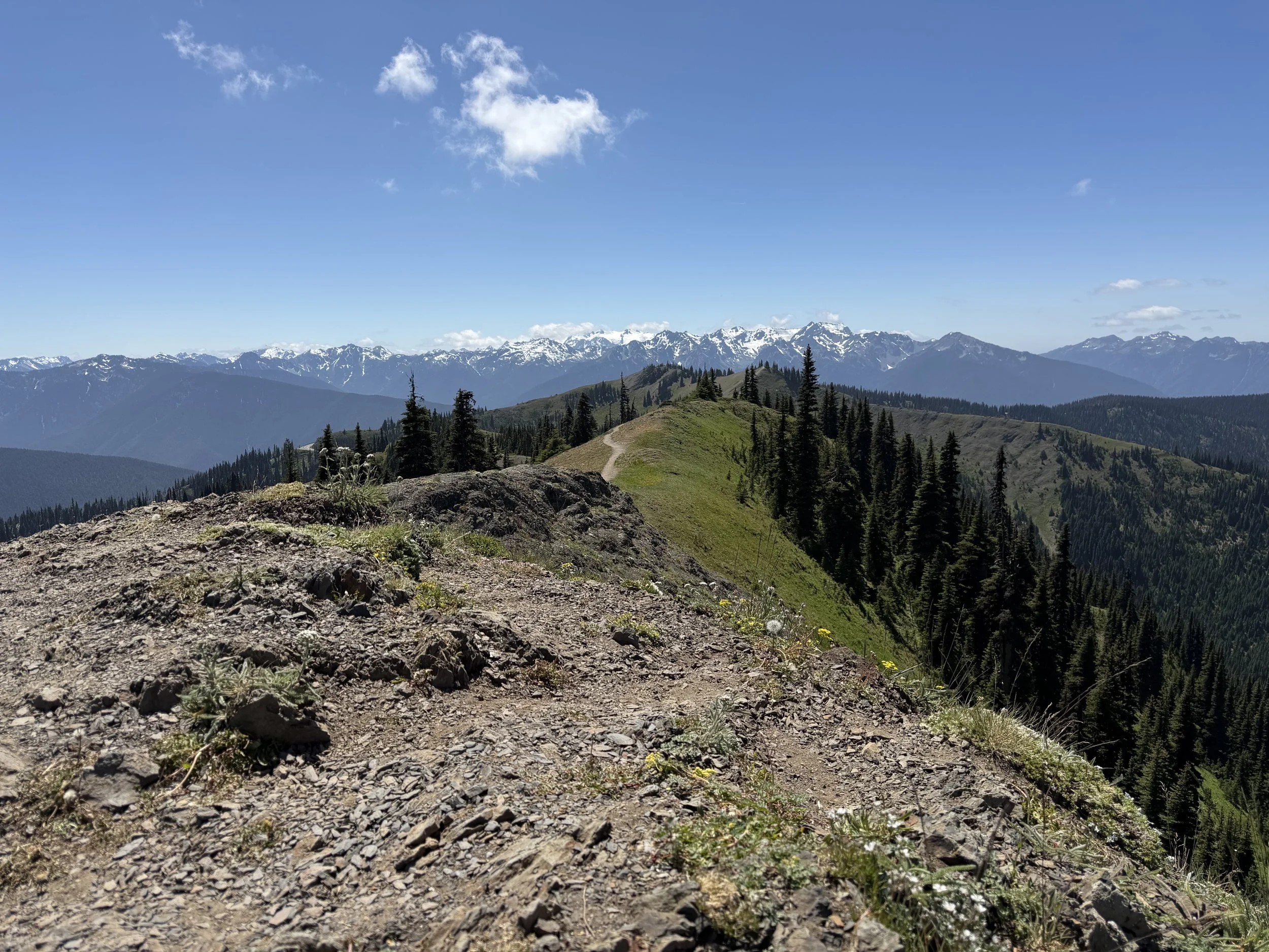 Olympic National Park week