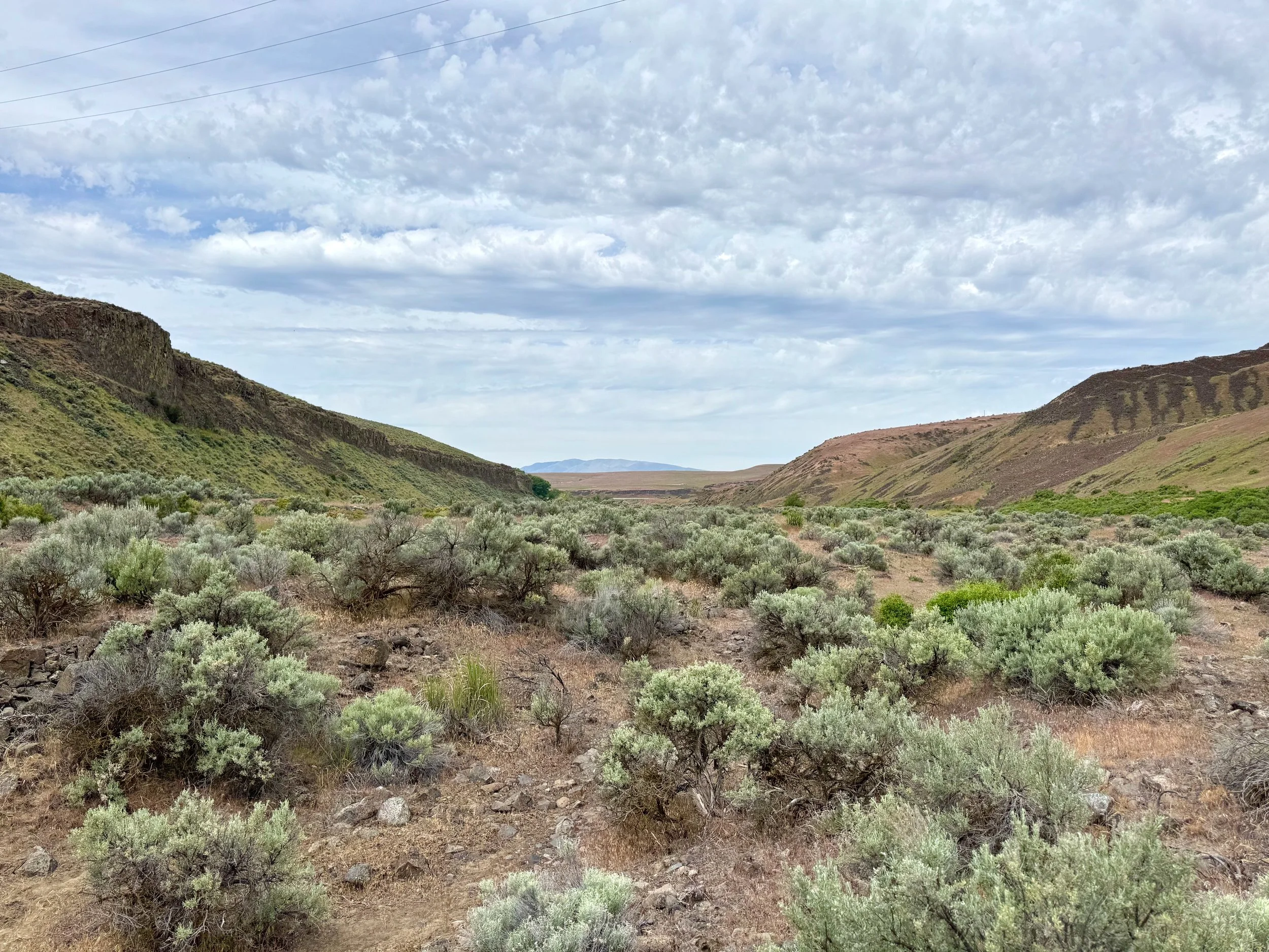 Sagebrush and cliffs - Selah Cliffs Natural Area, WA