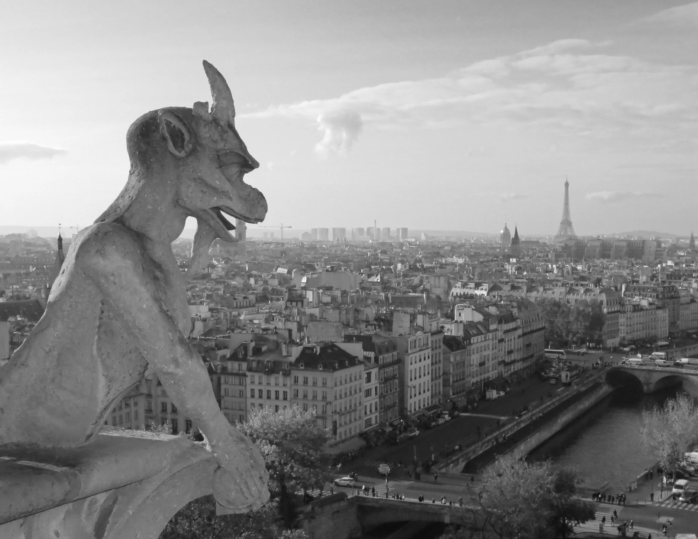 Notre Dame gargoyle, Paris, France