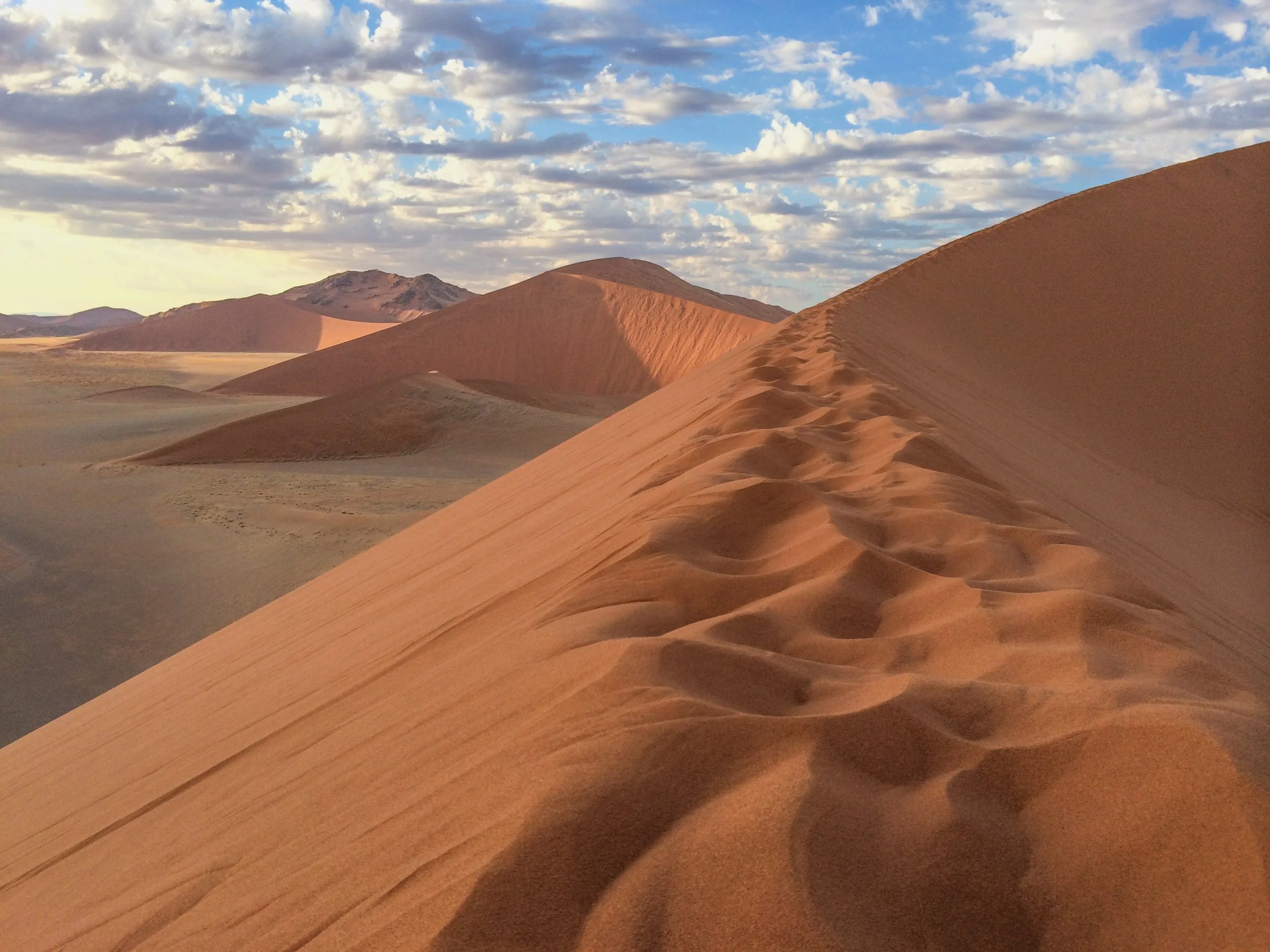 Open Lands